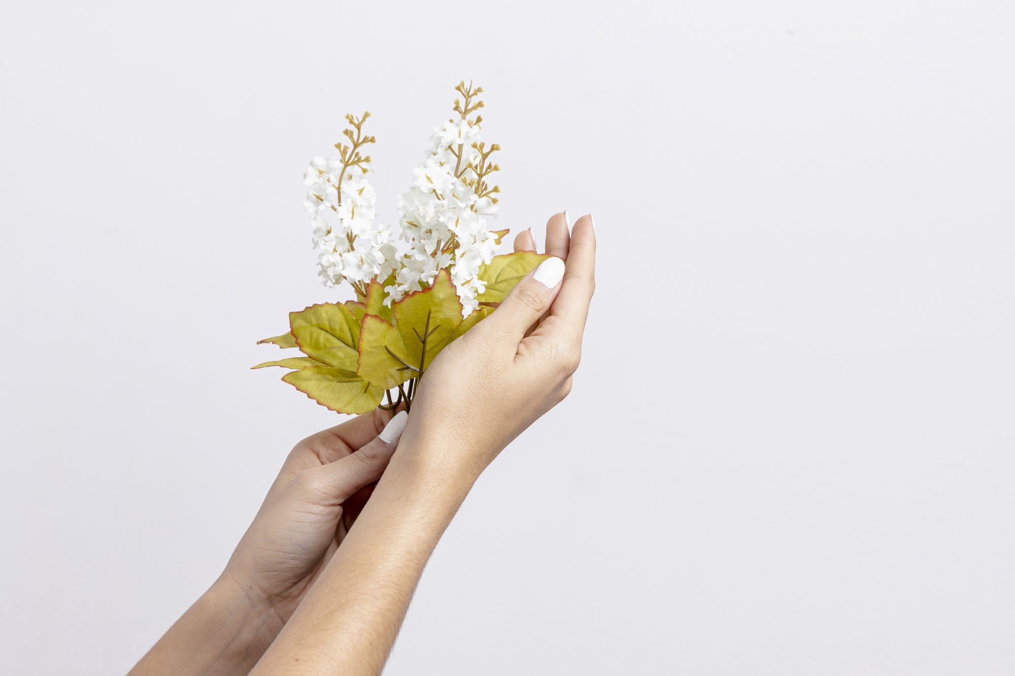 How to Care for Fresh Flower Bloom Box?