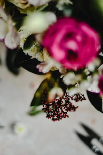 Timeless or Fresh? Navigating the Decision Between Preserved and Fresh Flowers