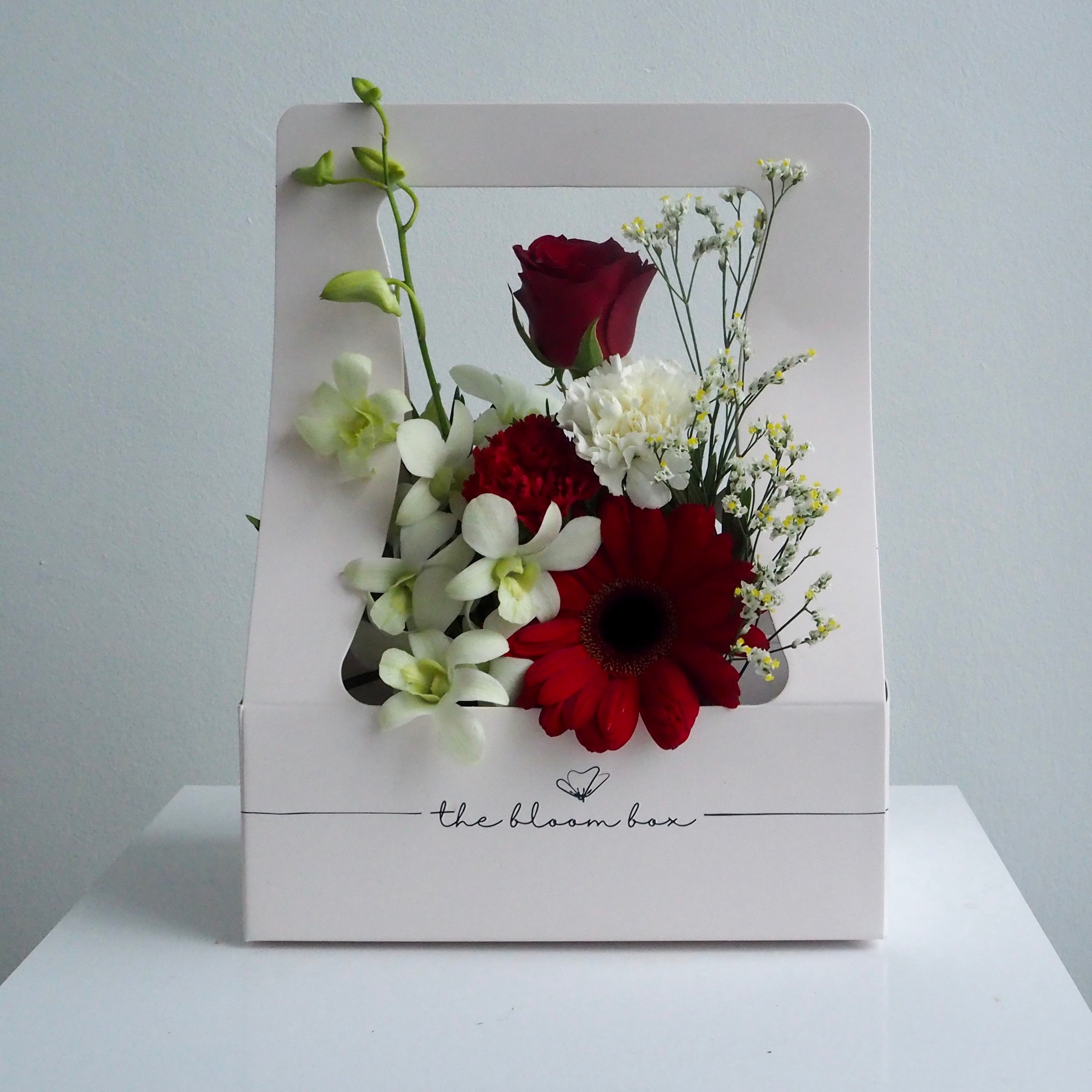 The Bloom Box of the Day