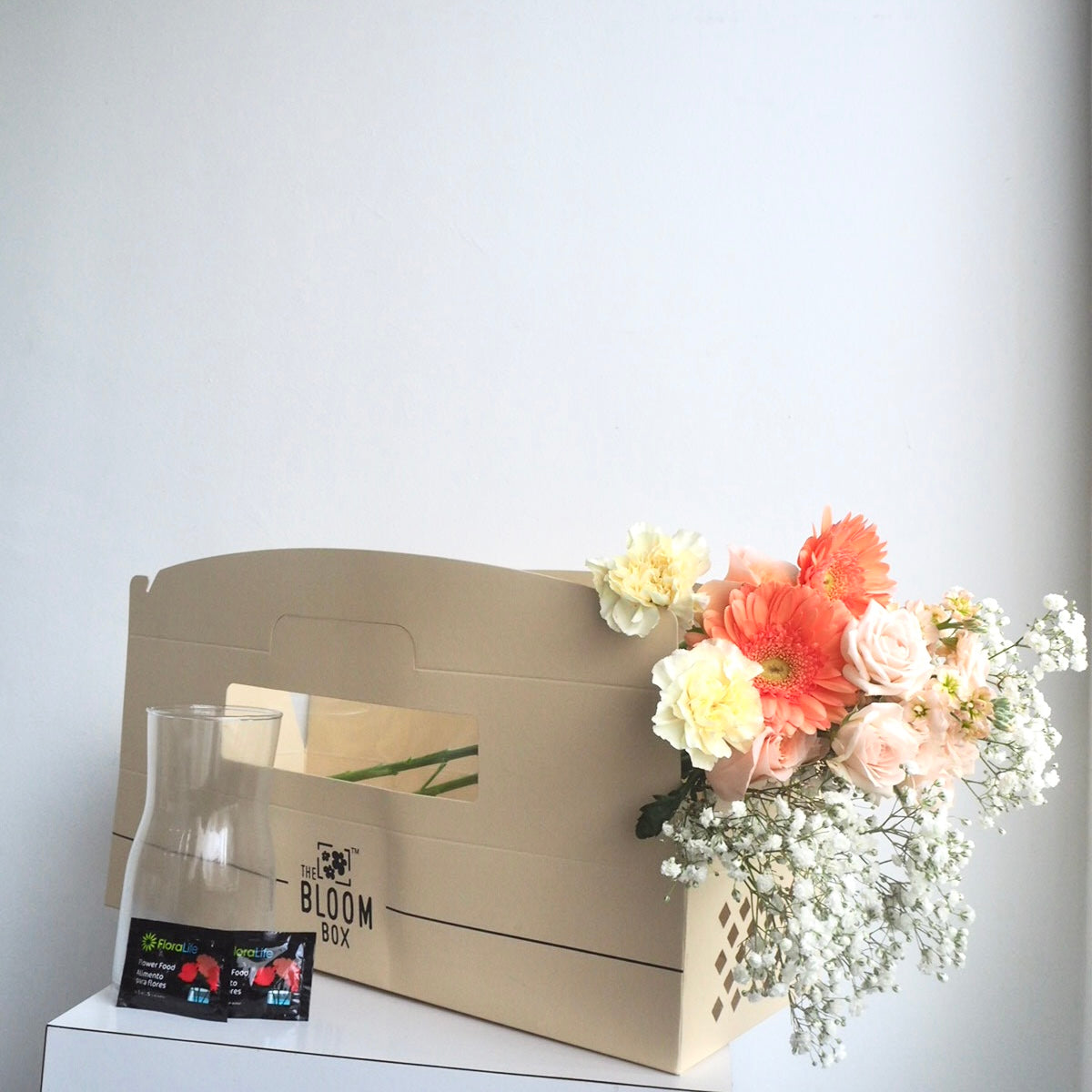The Bloom Box of the Day