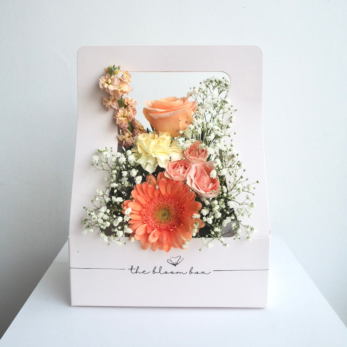 The Bloom Box of the Day