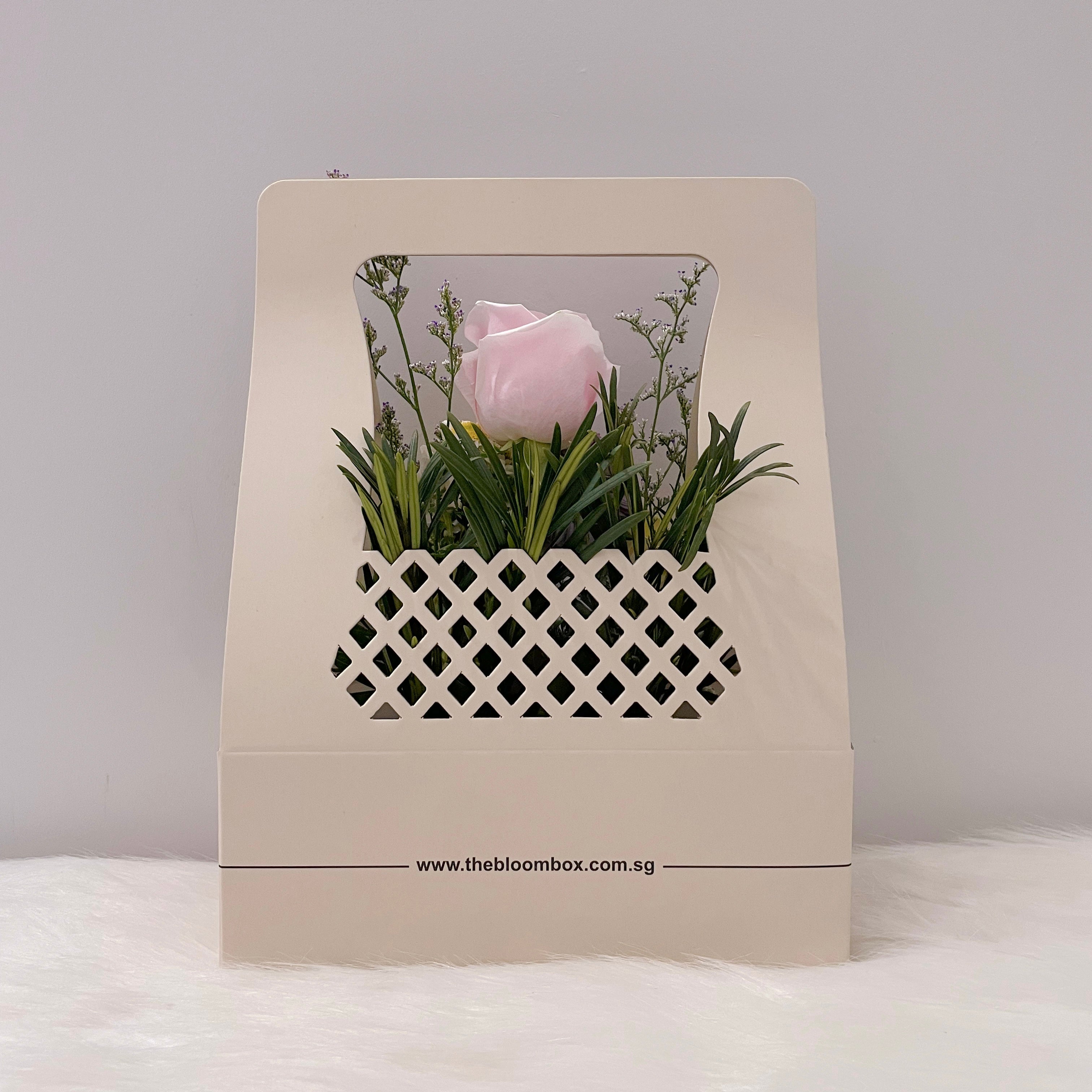 The Bloom Box of the Day