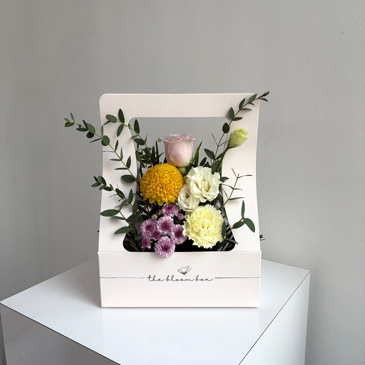 The Bloom Box of the Day