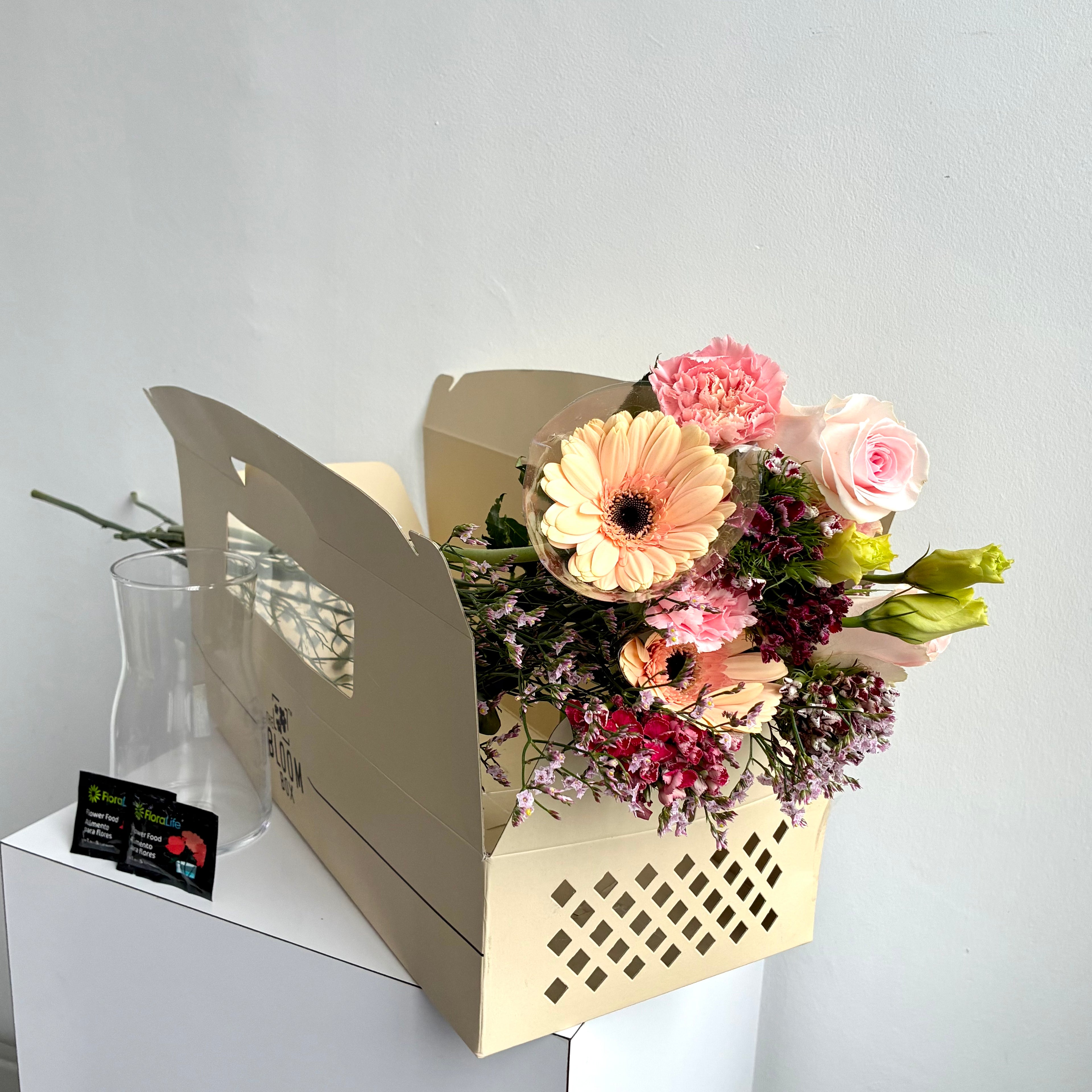The Bloom Box of the Day