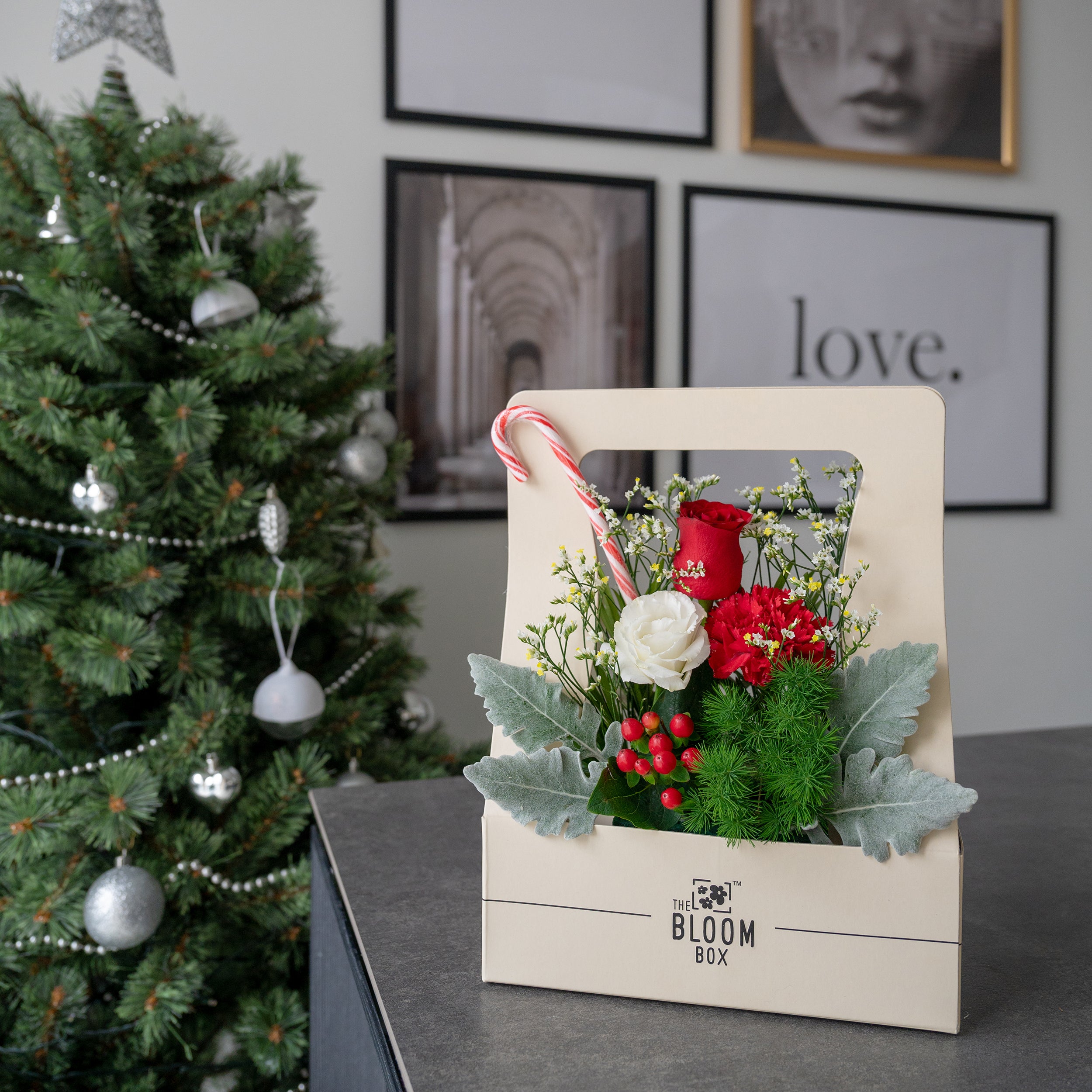 The Bloom Box of Christmas