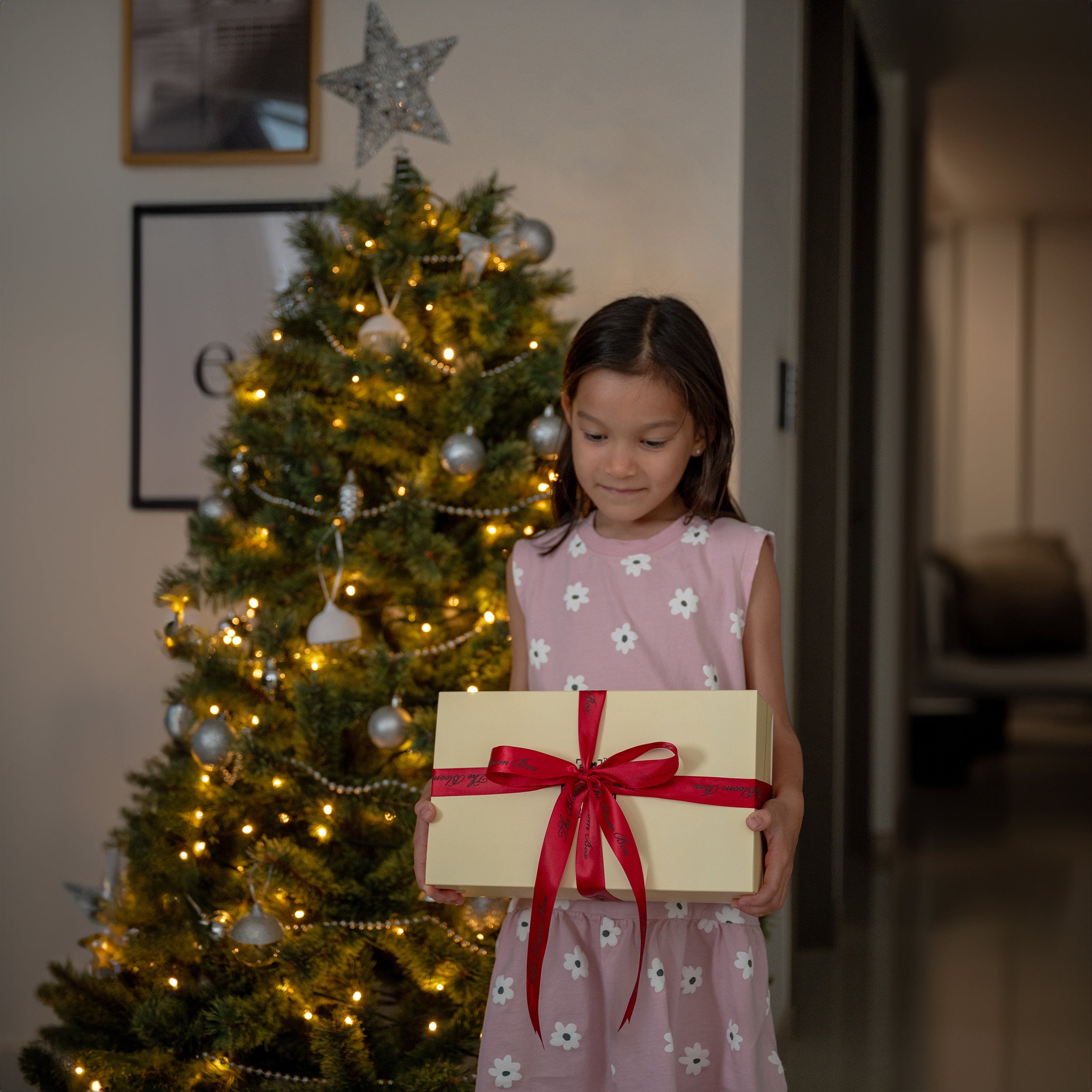 Merry Christmas Holiday Gift Box