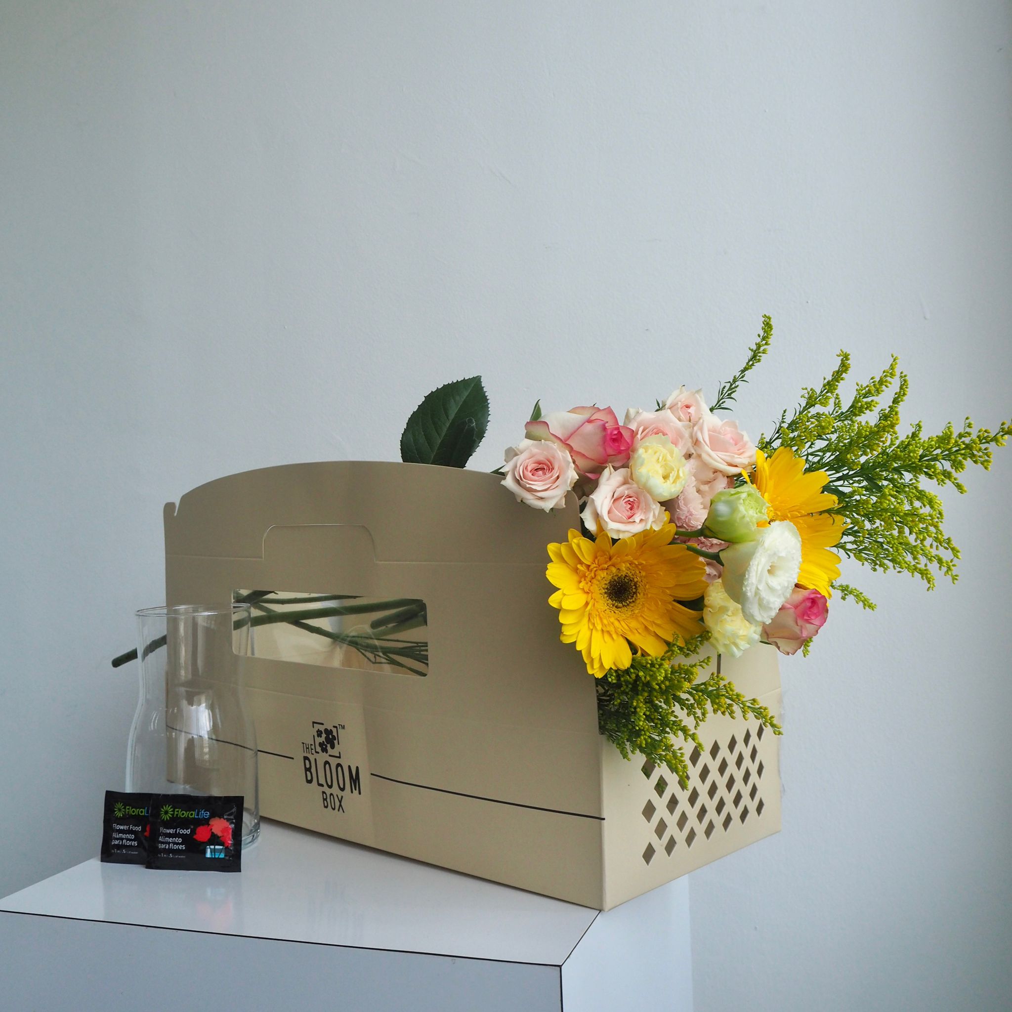The Bloom Box of the Day