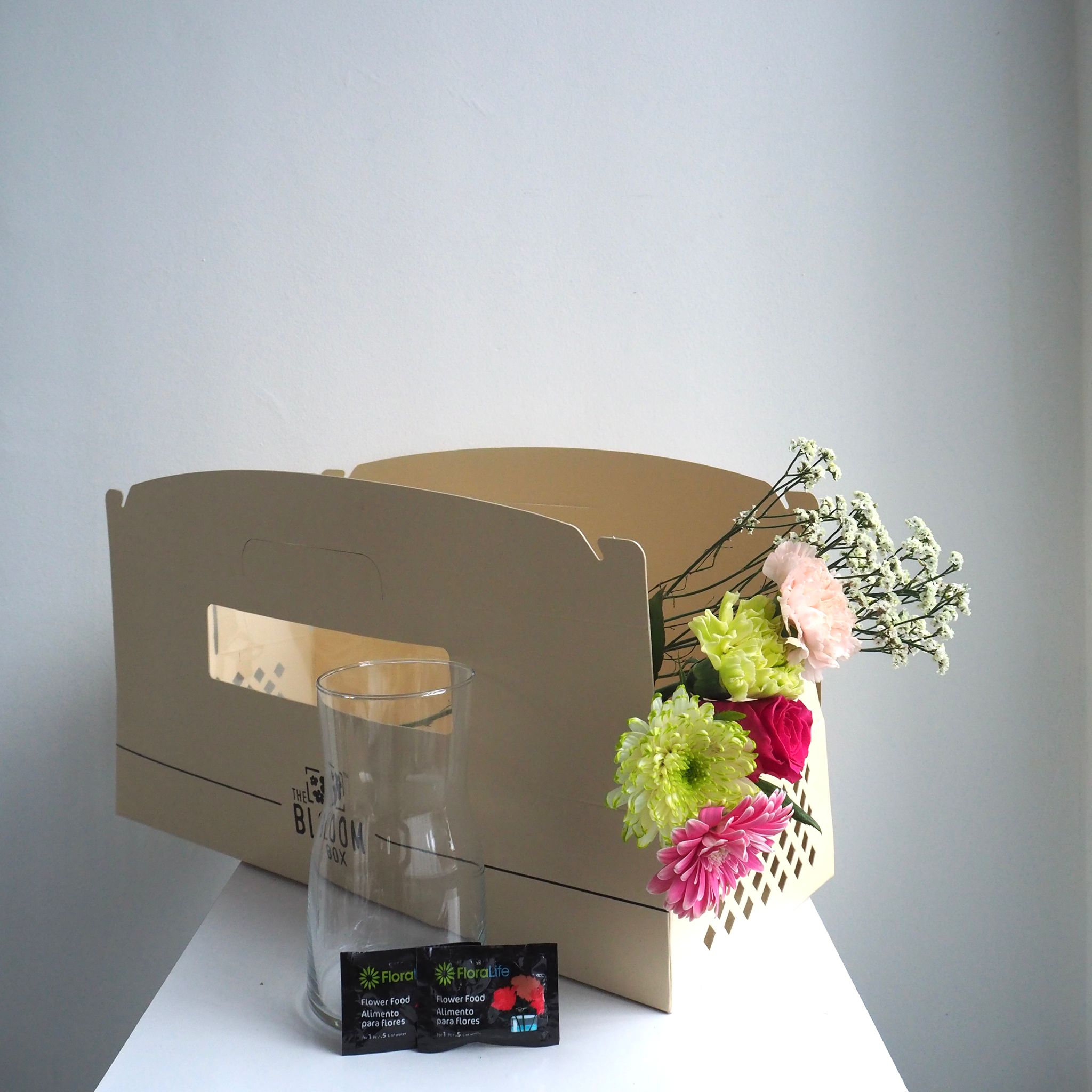 The Bloom Box of the Day