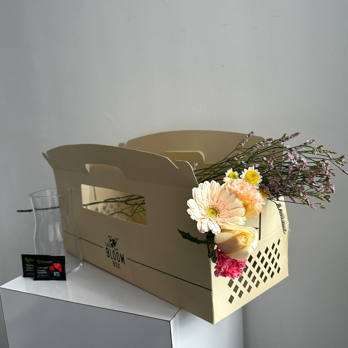 The Bloom Box of the Day