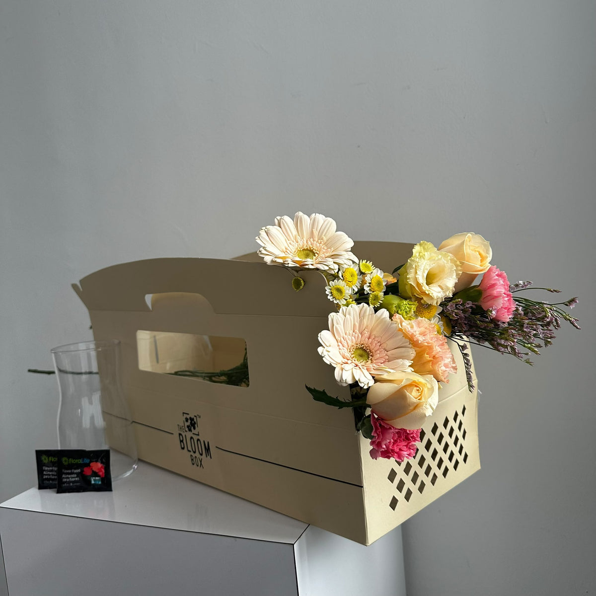 The Bloom Box of the Day