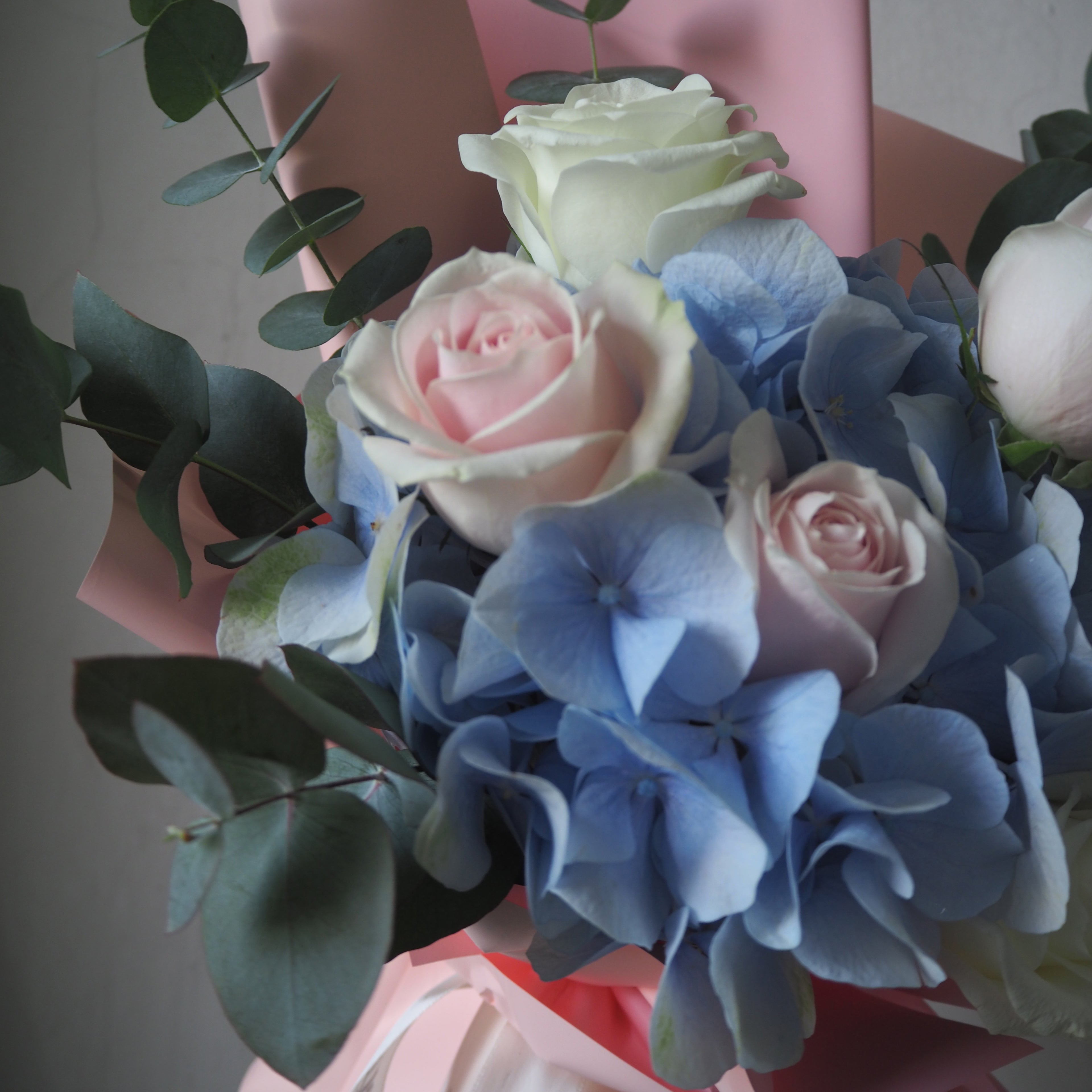 close up of hydrangea petals