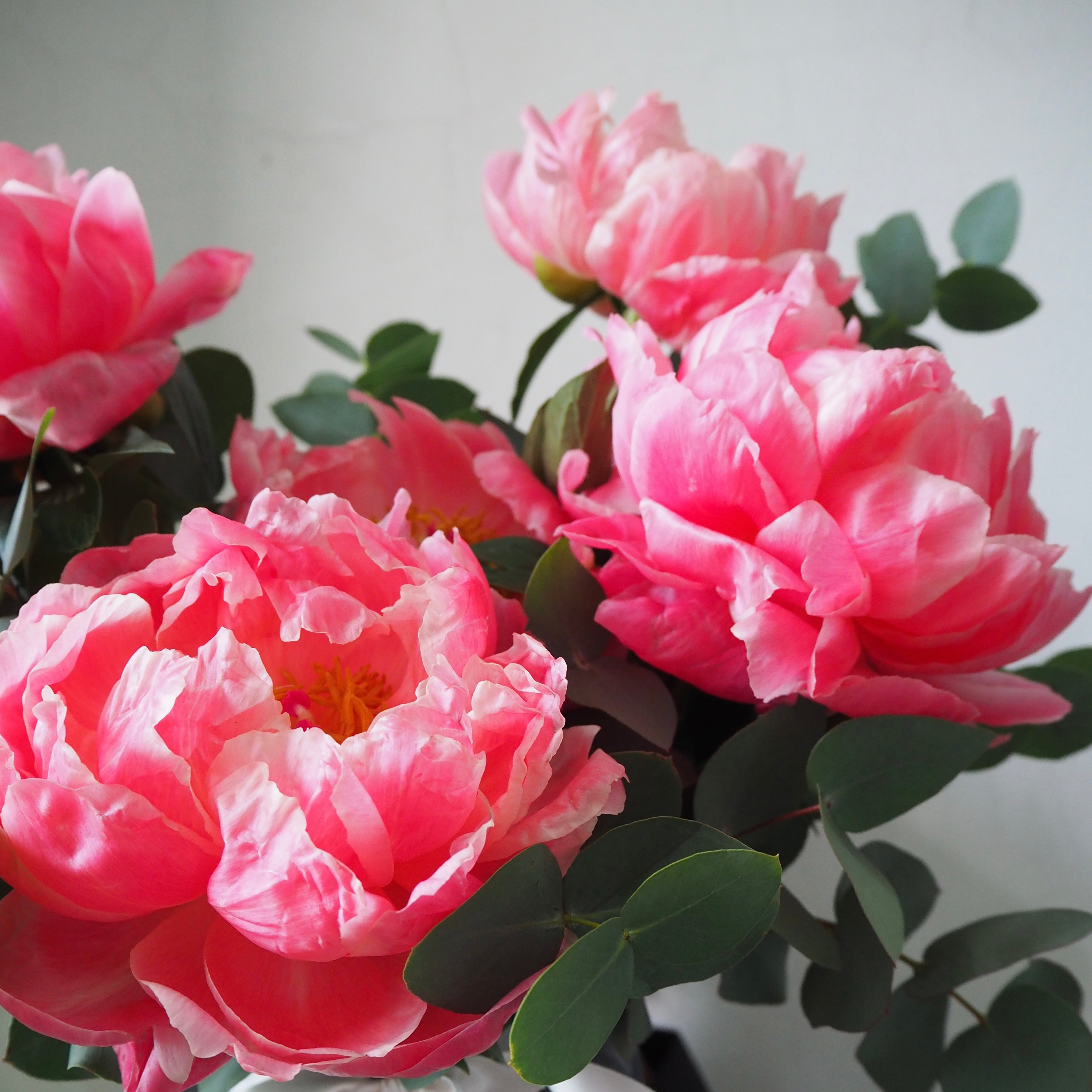 Empress Peony Centrepiece