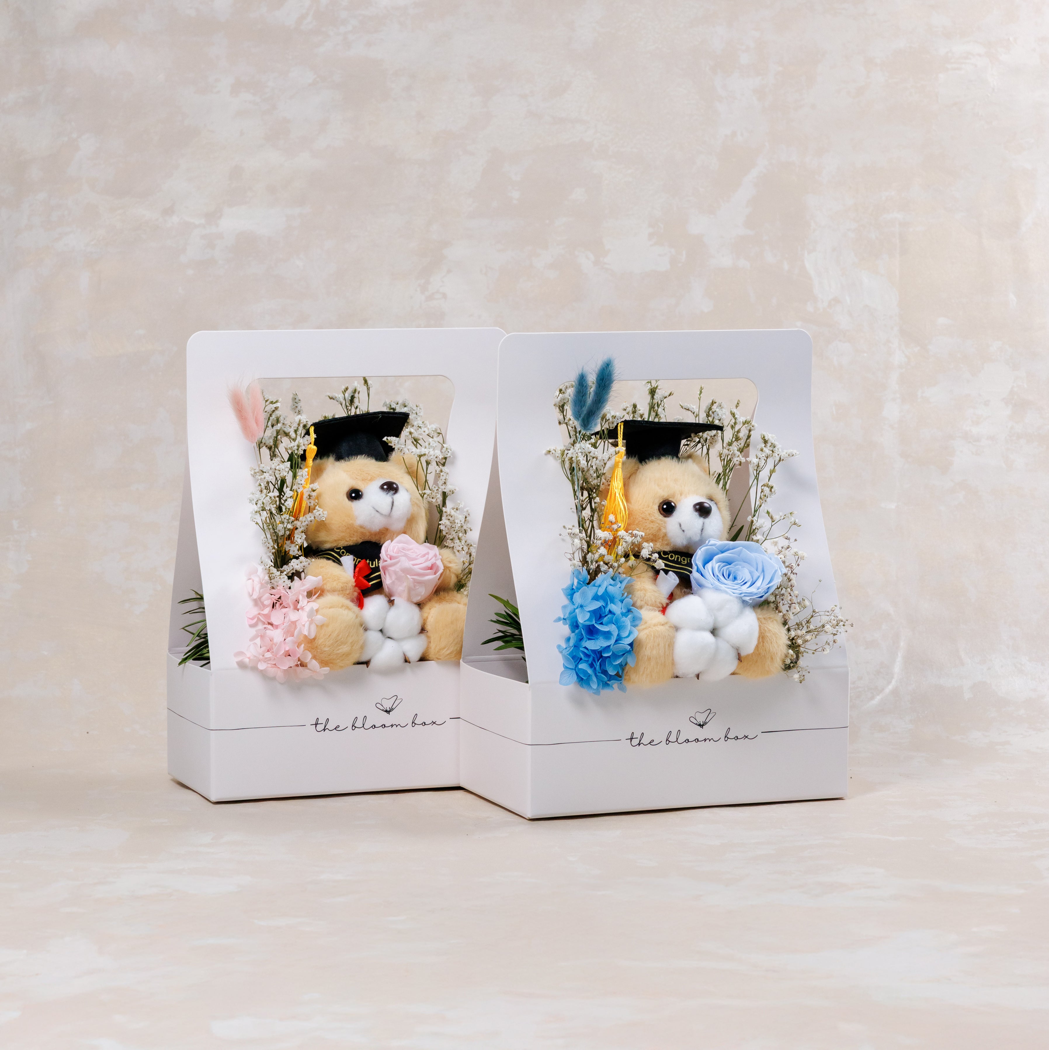 Graduation Bear Bloom Box