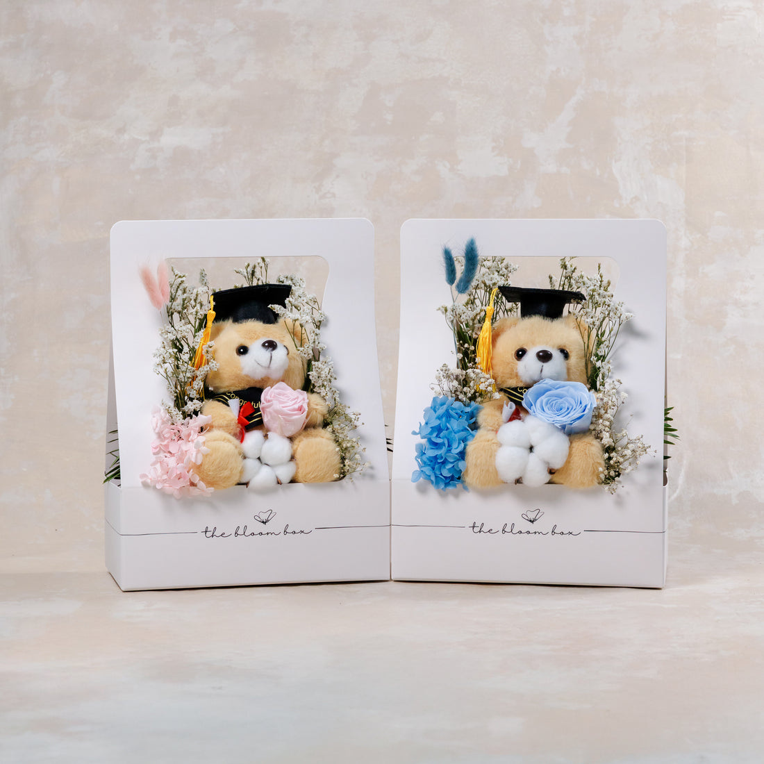 Graduation Bear Bloom Box