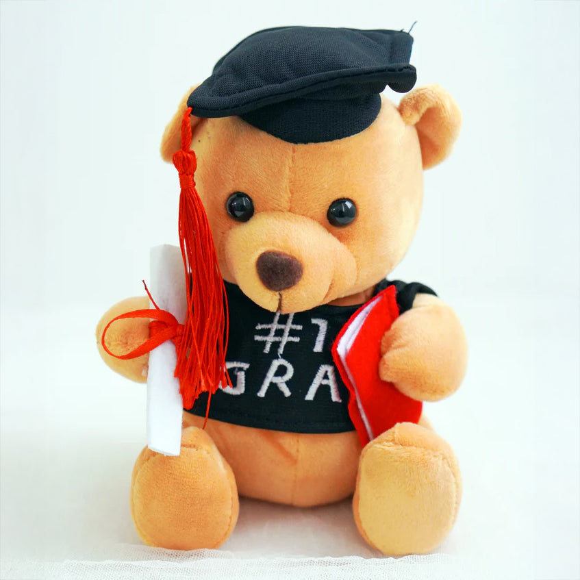 Graduation Teddy Bear