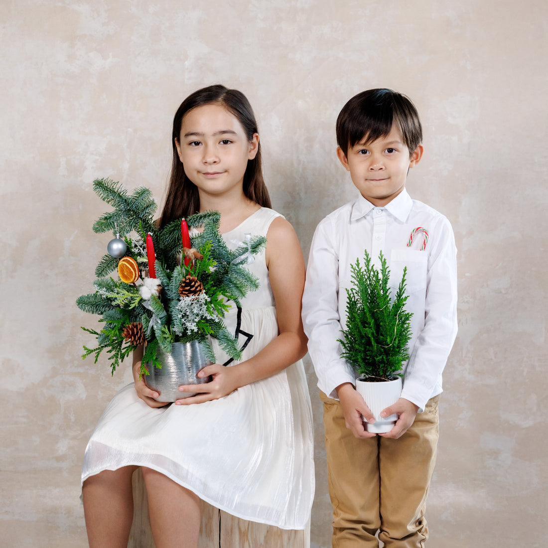 Mini Christmas Tree Plant Vase