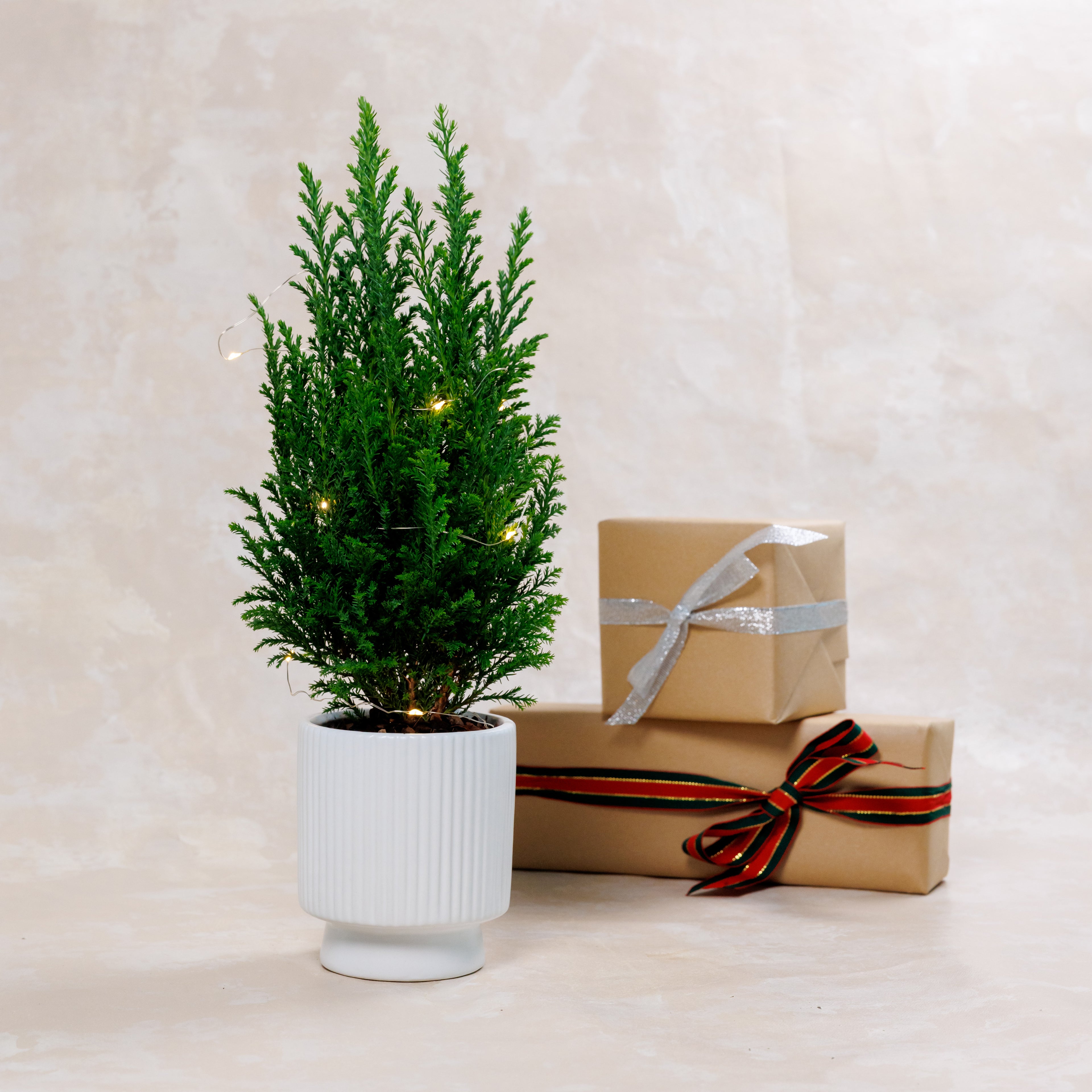 Mini Christmas Tree Plant Vase