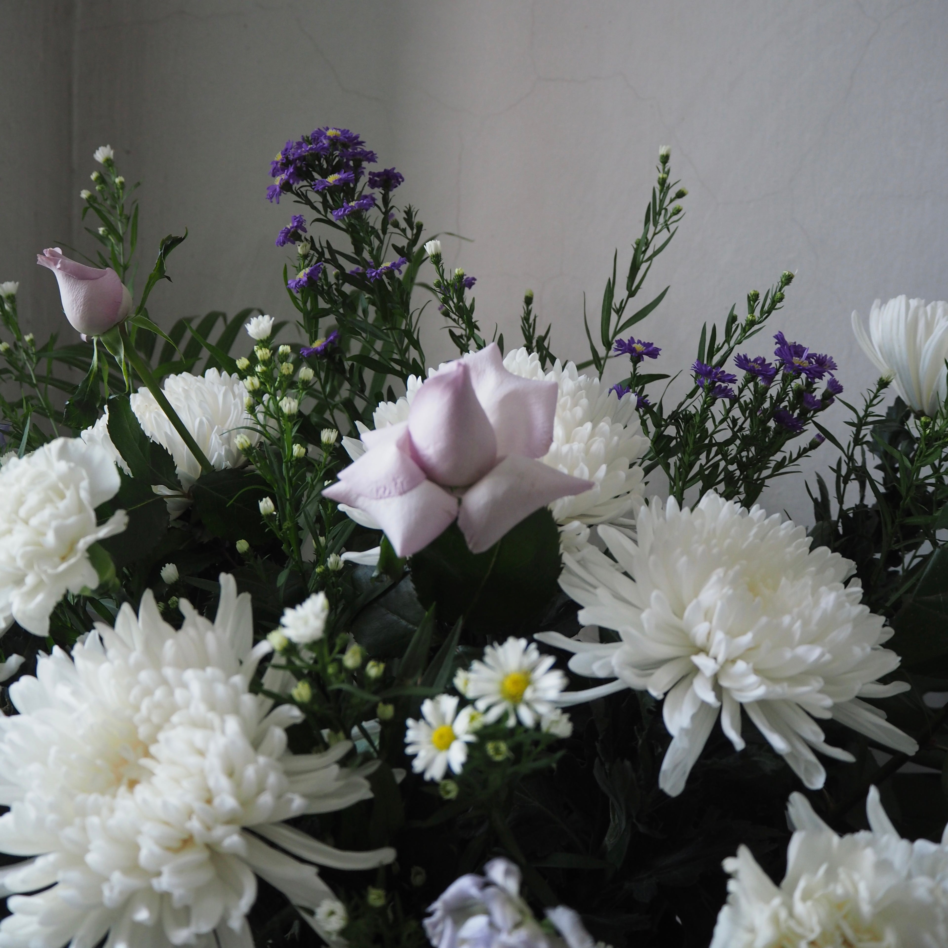 Bouquet of white and purple flowers against a neutral background