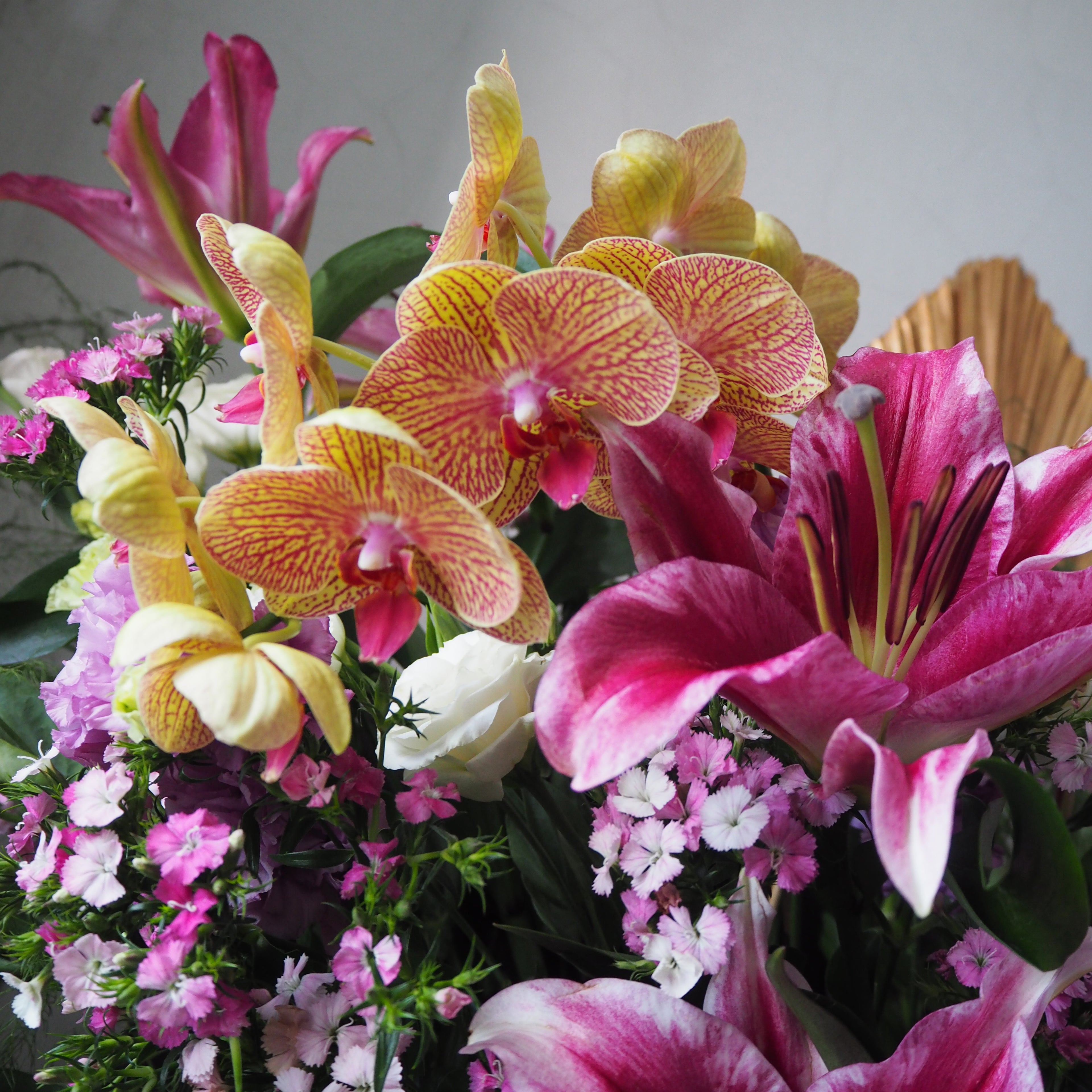Bouquet of colorful flowers including orchids and lilies on a neutral background