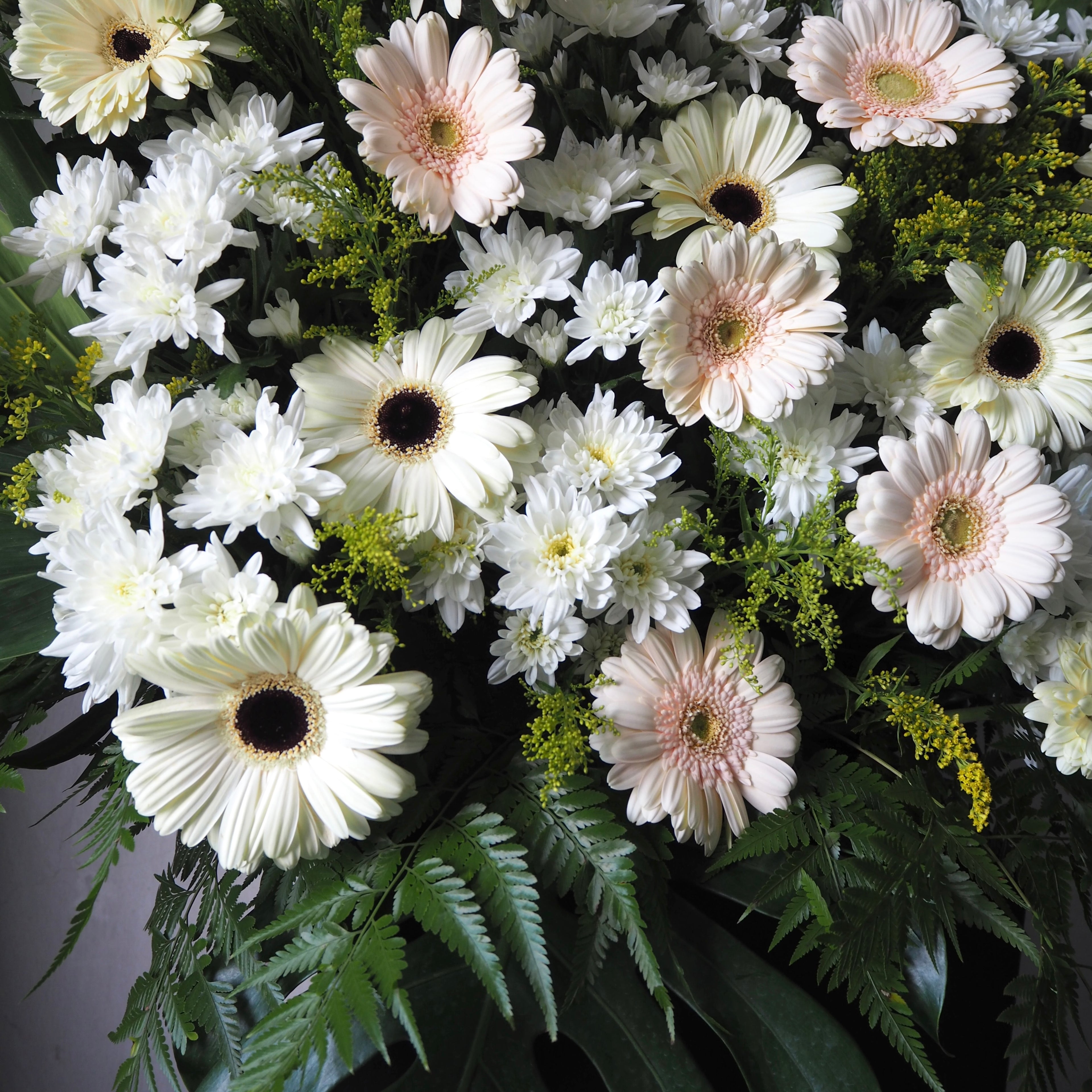 Bouquet of white and light pink gerbera daisies with greenery