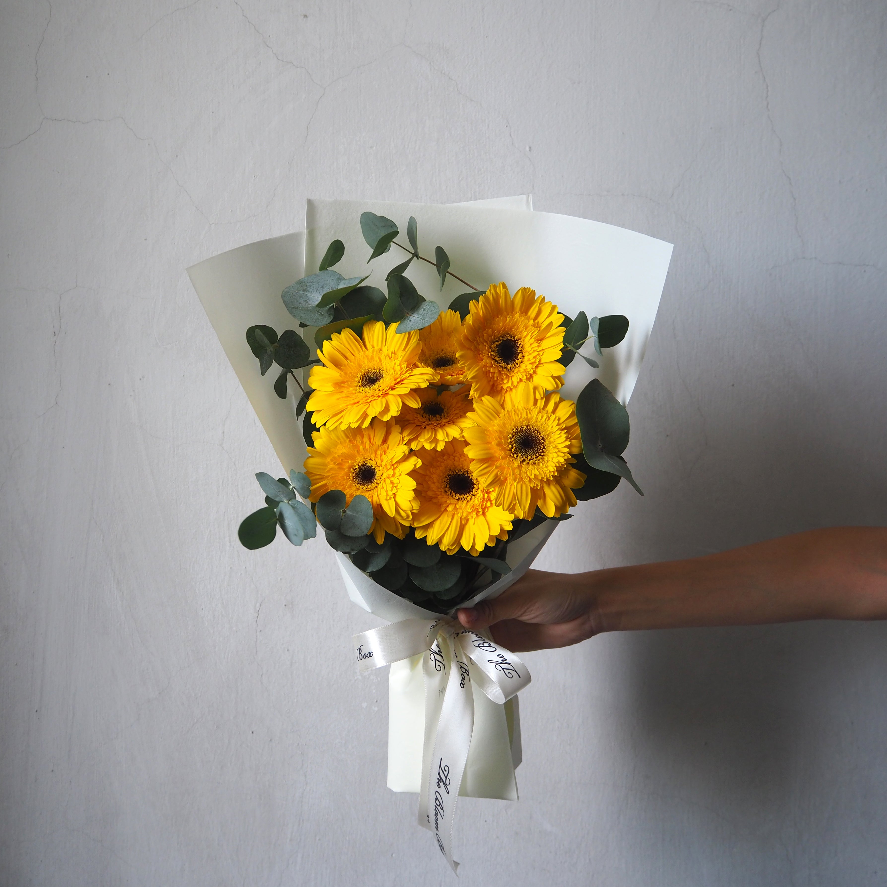 yellow gerbera daisy bouquet in white wrap