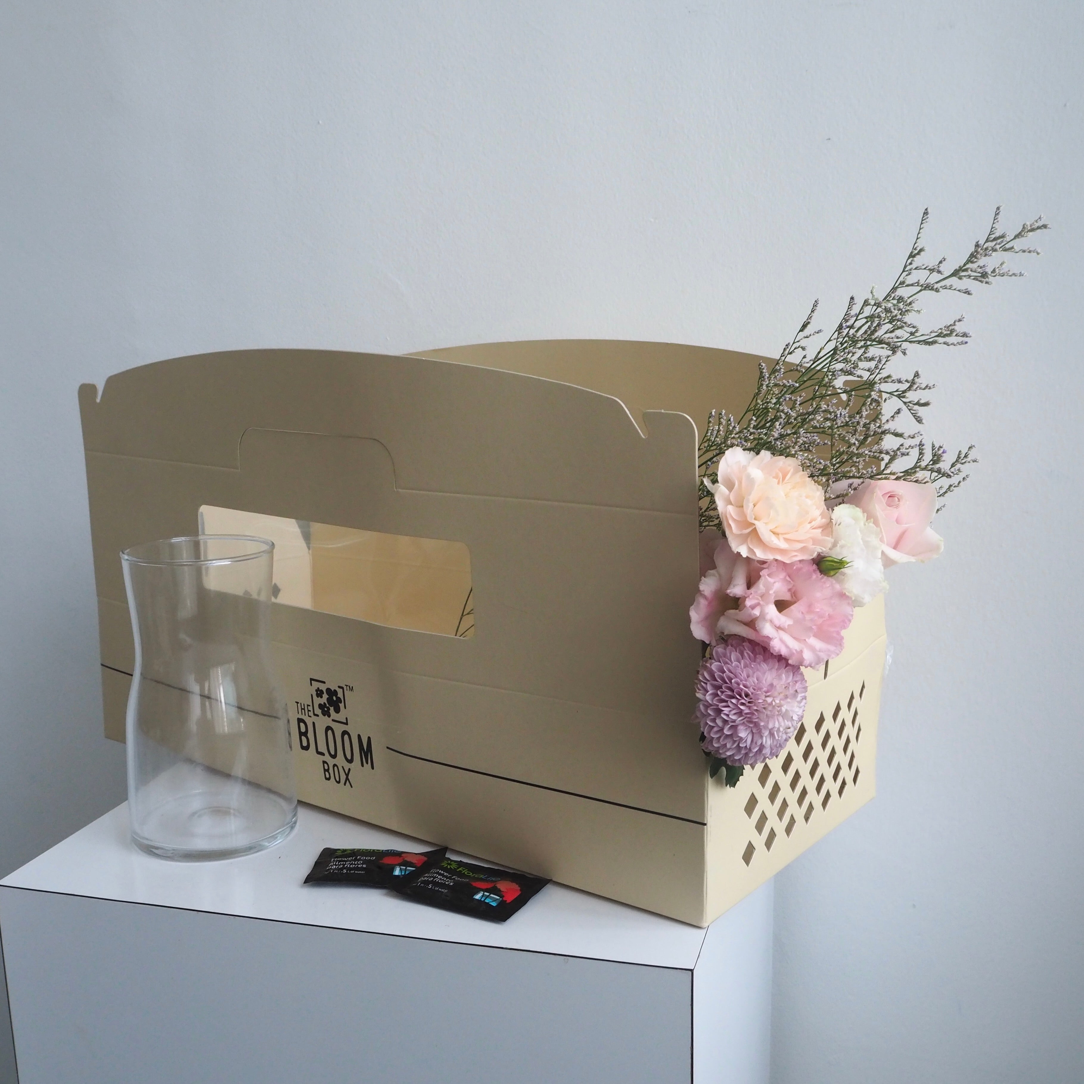 The Bloom Box of the Day