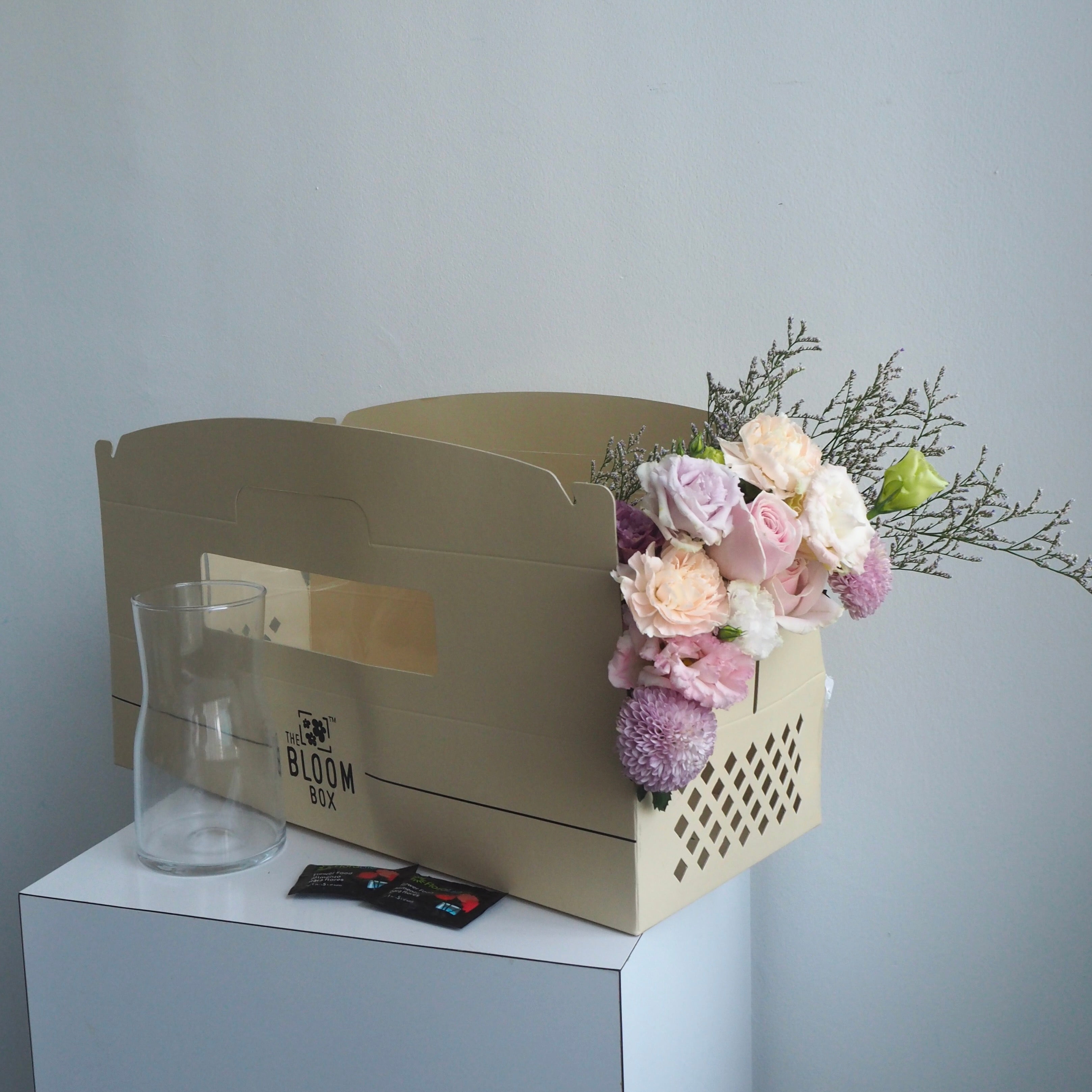 The Bloom Box of the Day