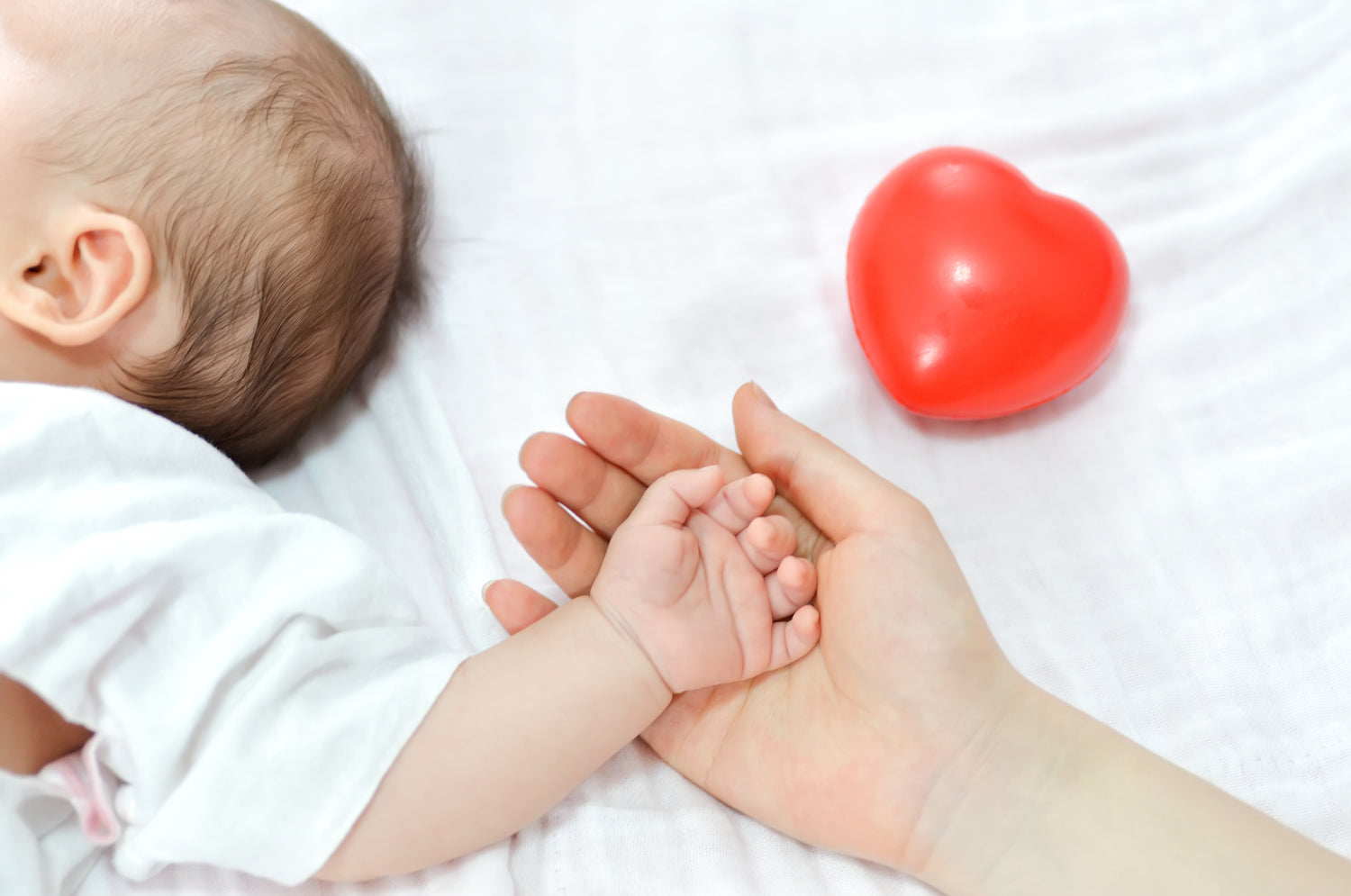 Newborn Flowers
