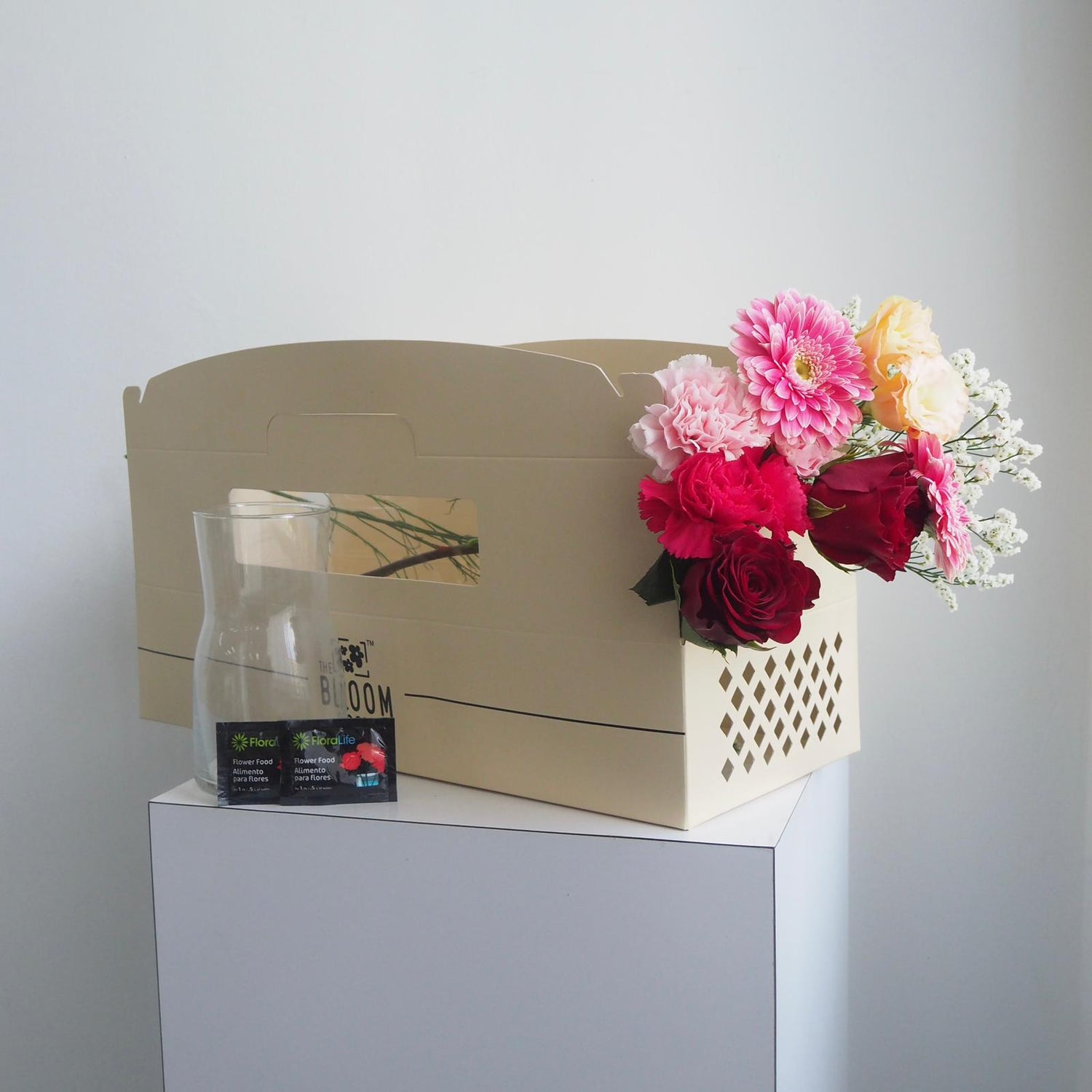 The Bloom Box of the Day
