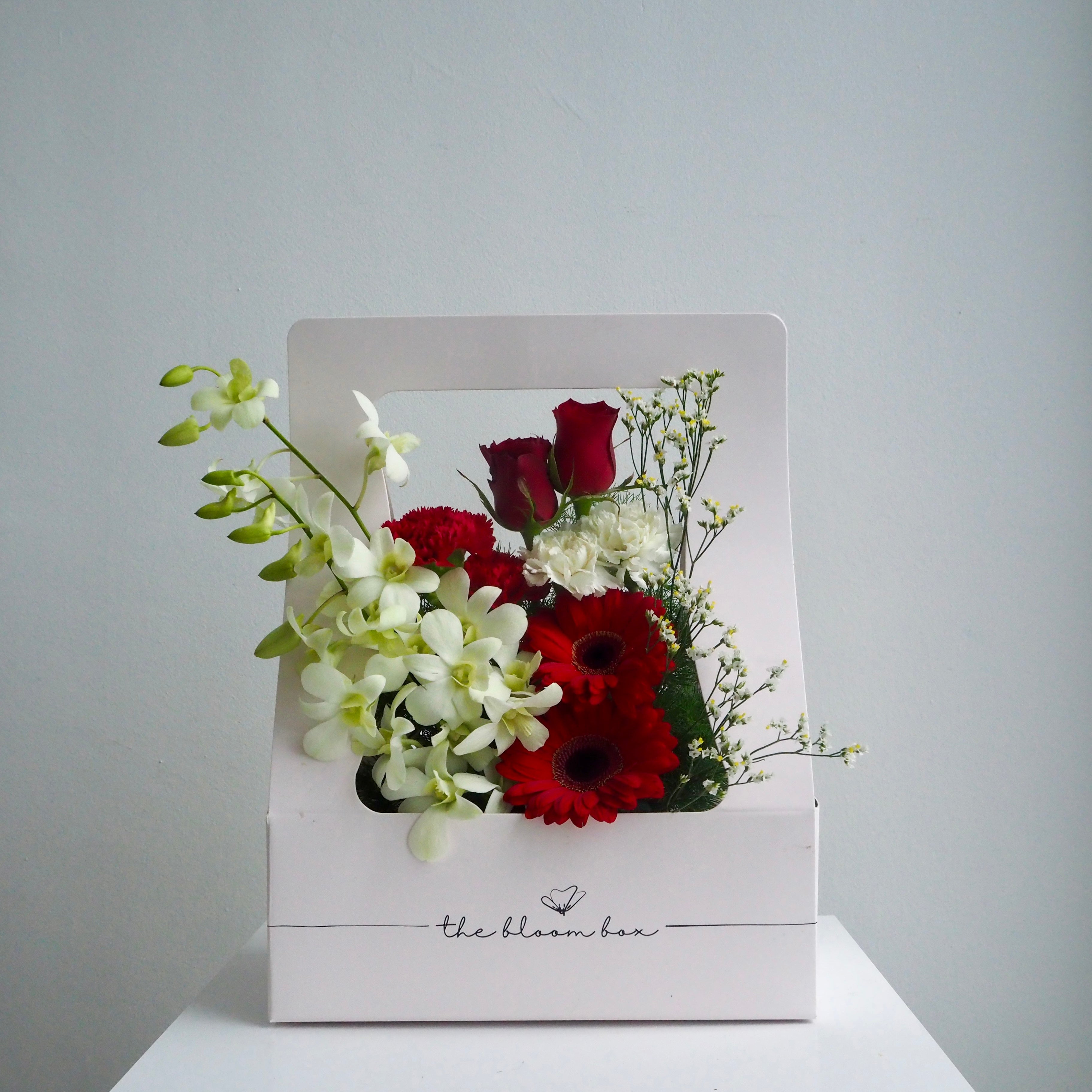 The Bloom Box of the Day