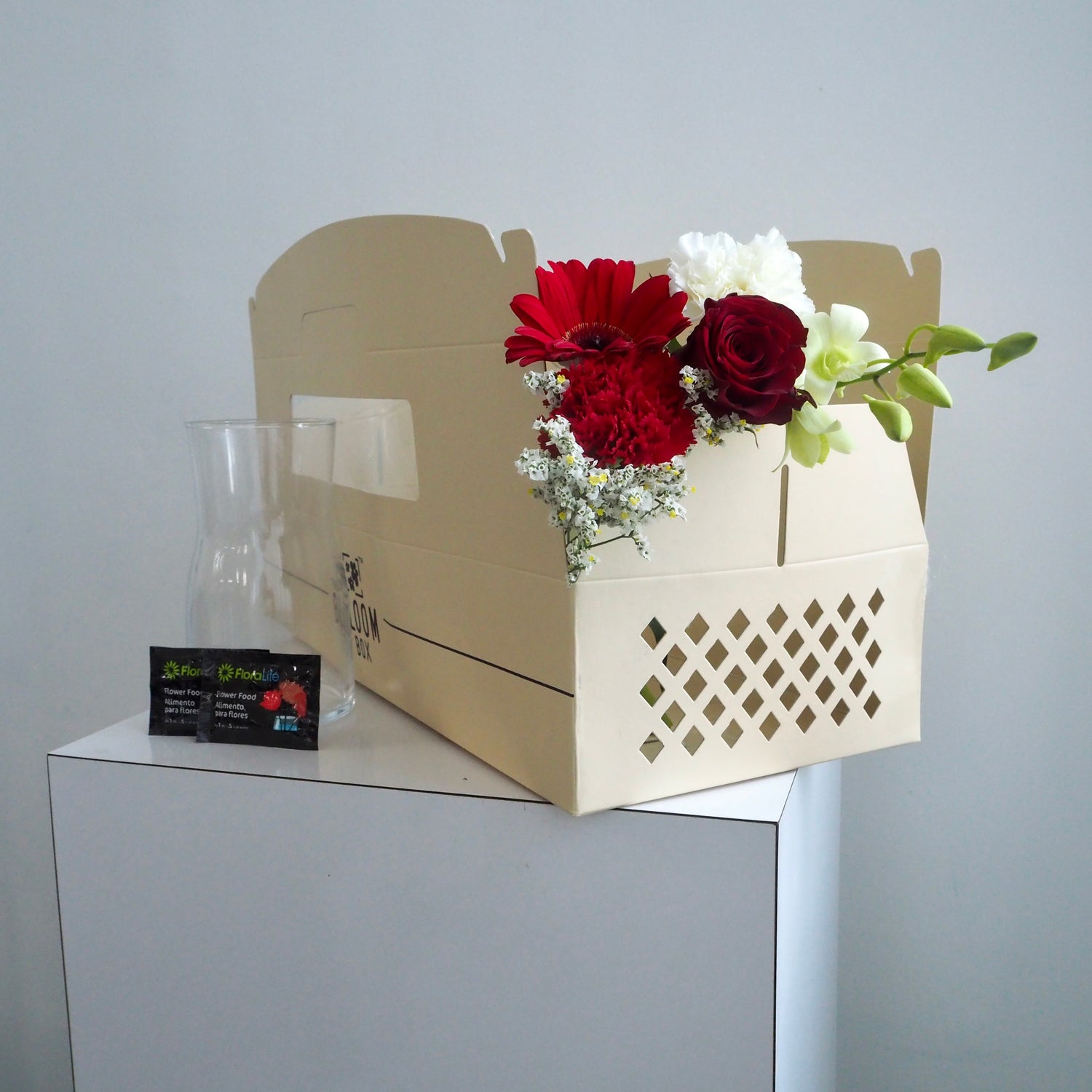 The Bloom Box of the Day