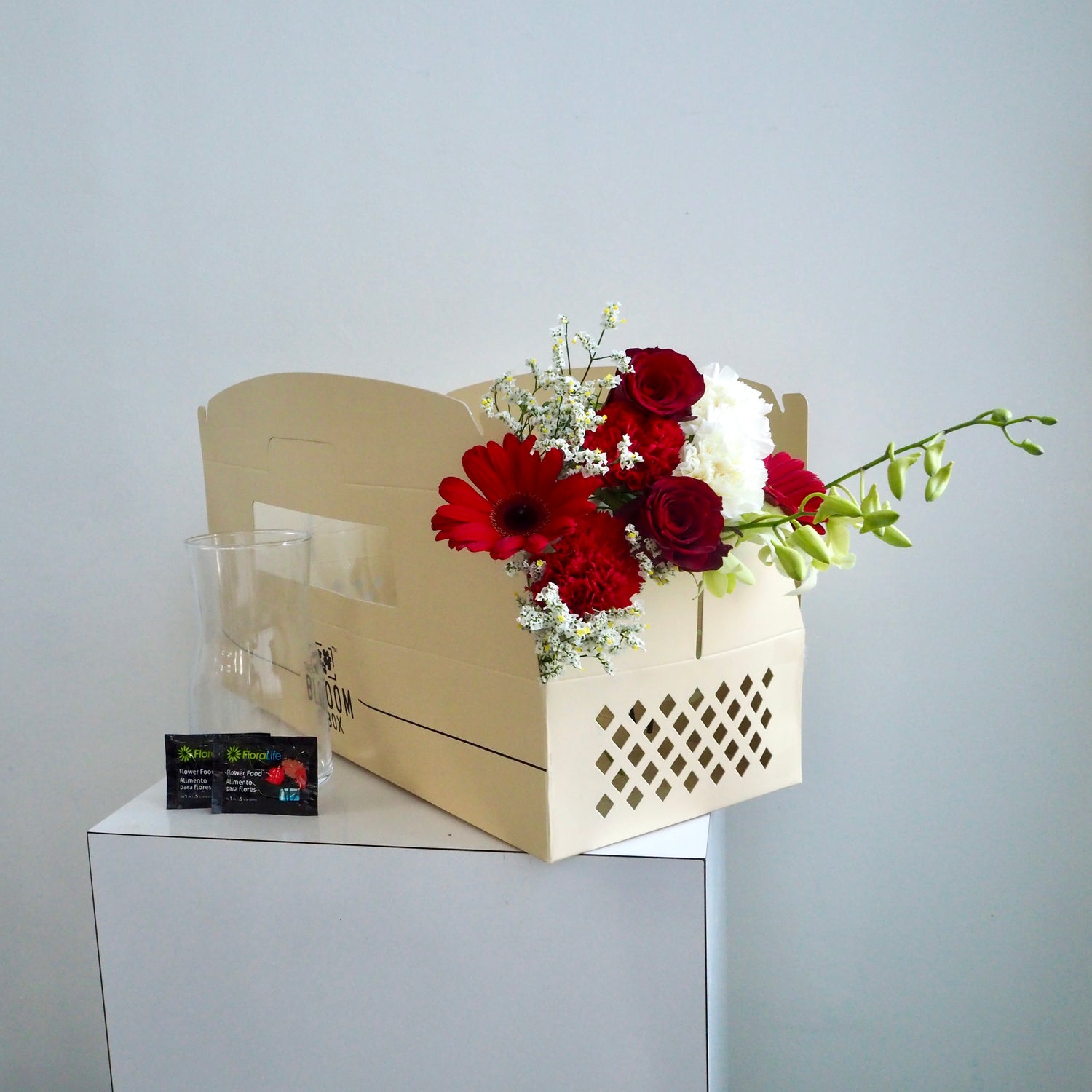 The Bloom Box of the Day