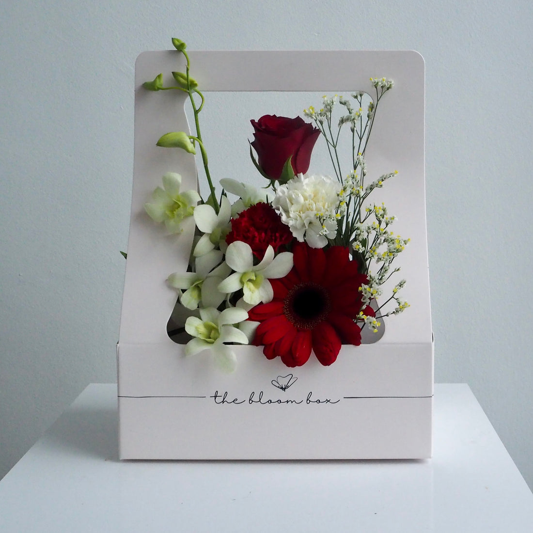 The Bloom Box of the Day