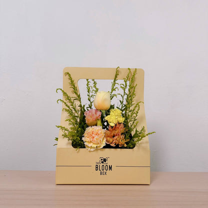 The Bloom Box of the Day