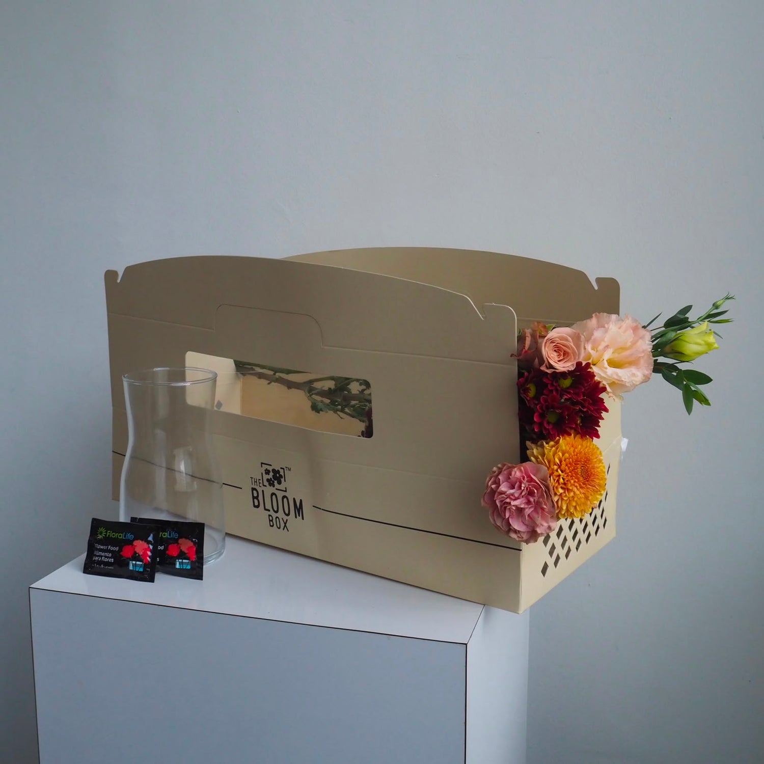 The Bloom Box of the Day
