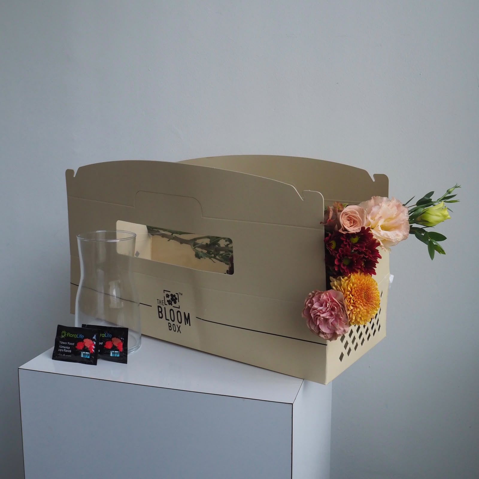 The Bloom Box of the Day