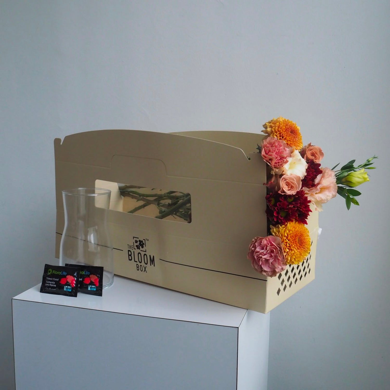 The Bloom Box of the Day
