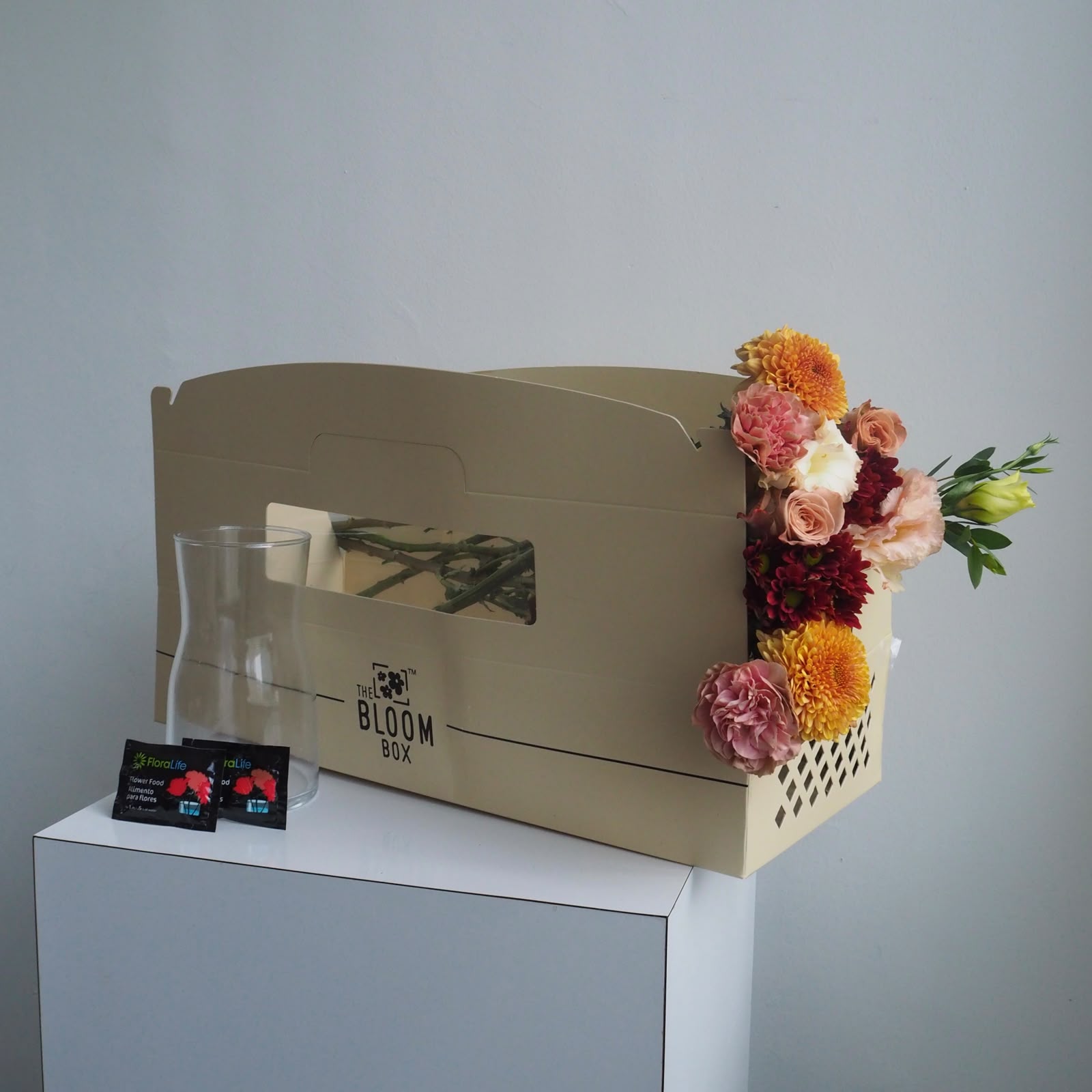 The Bloom Box of the Day