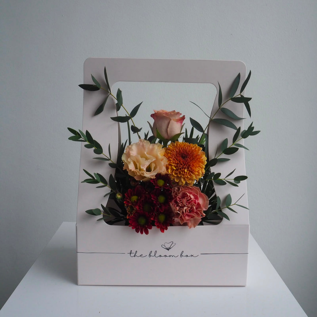 The Bloom Box of the Day
