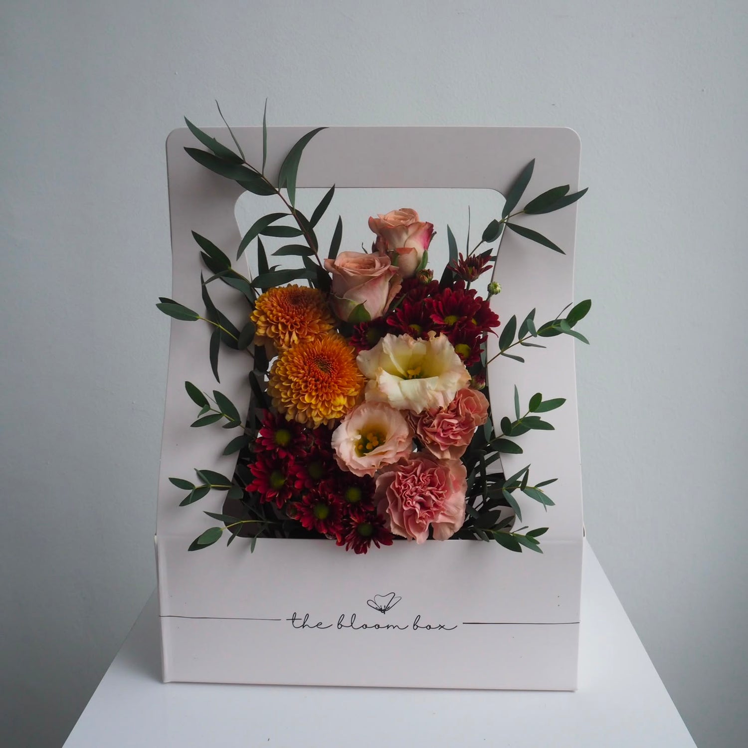 The Bloom Box of the Day