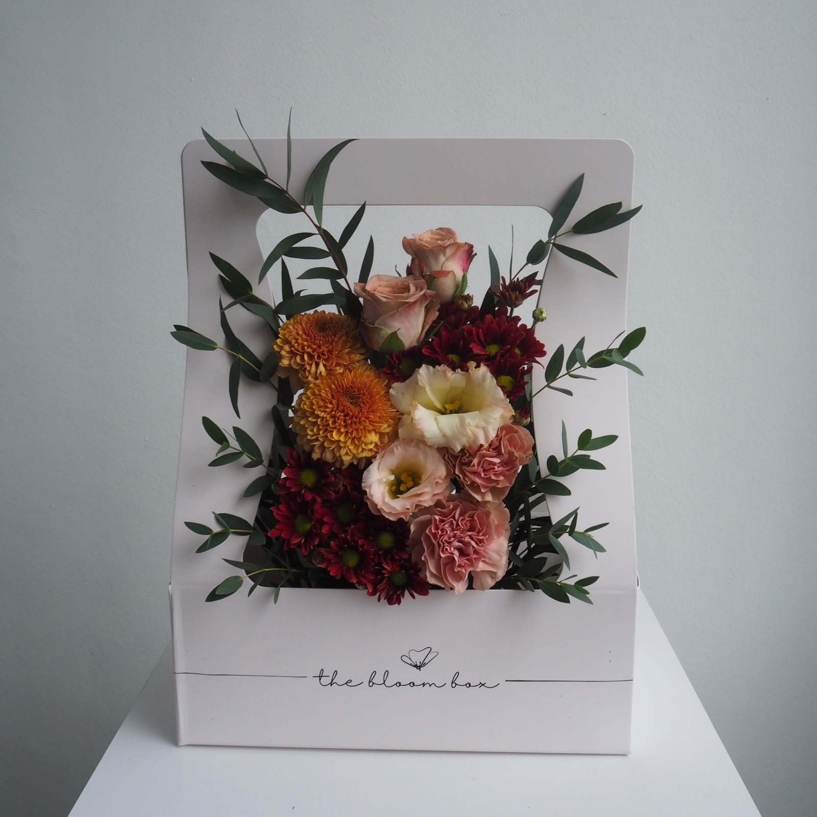 The Bloom Box of the Day