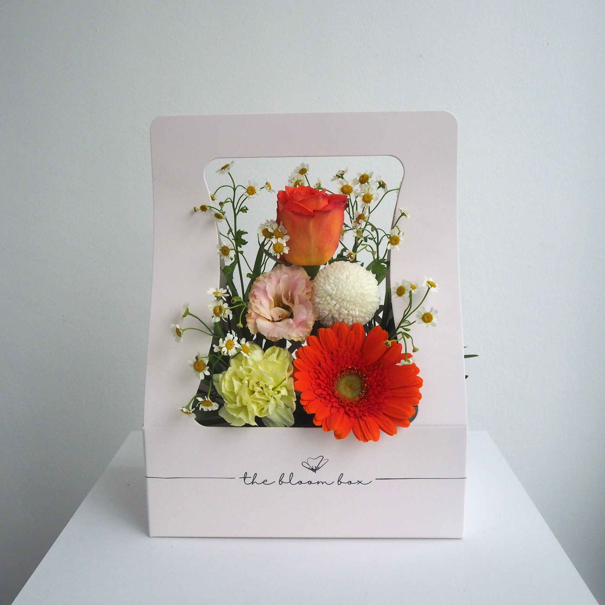The Bloom Box of the Day
