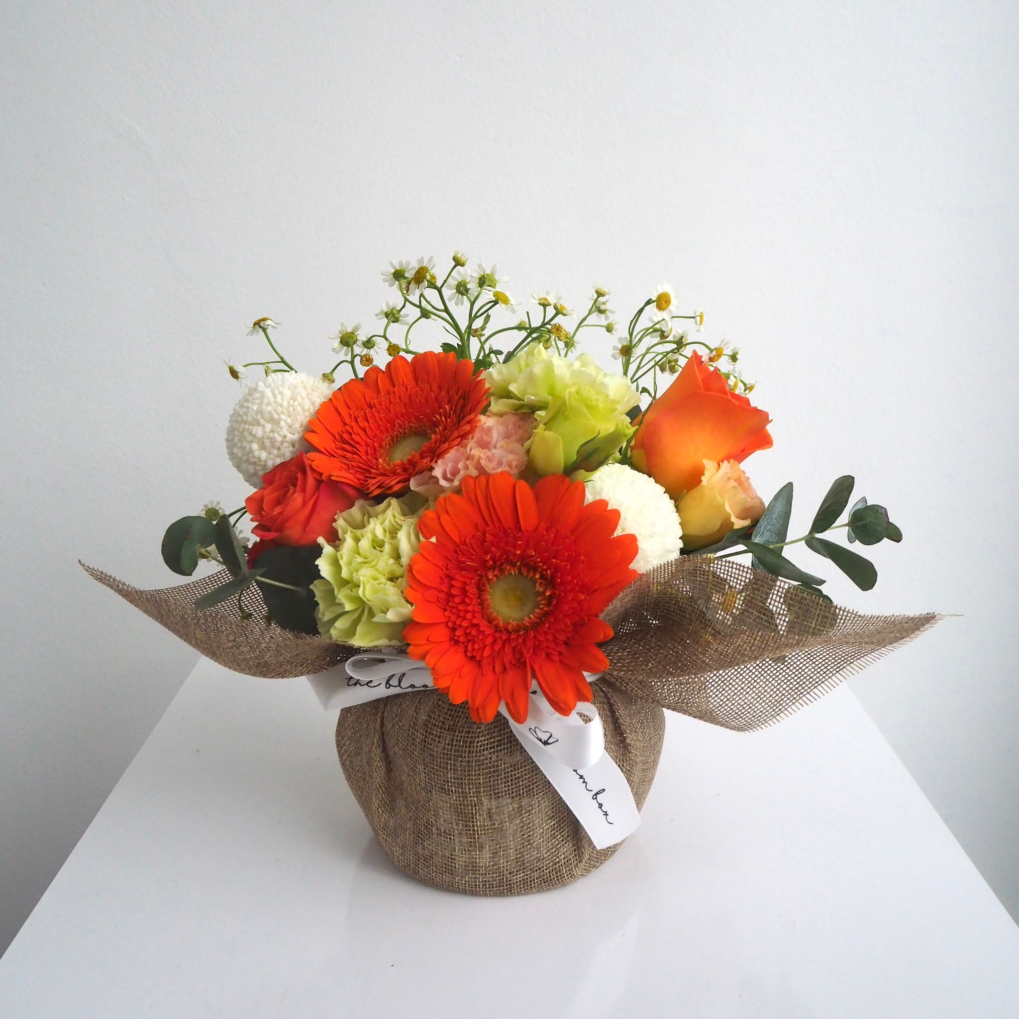 The Bloom Box of the Day