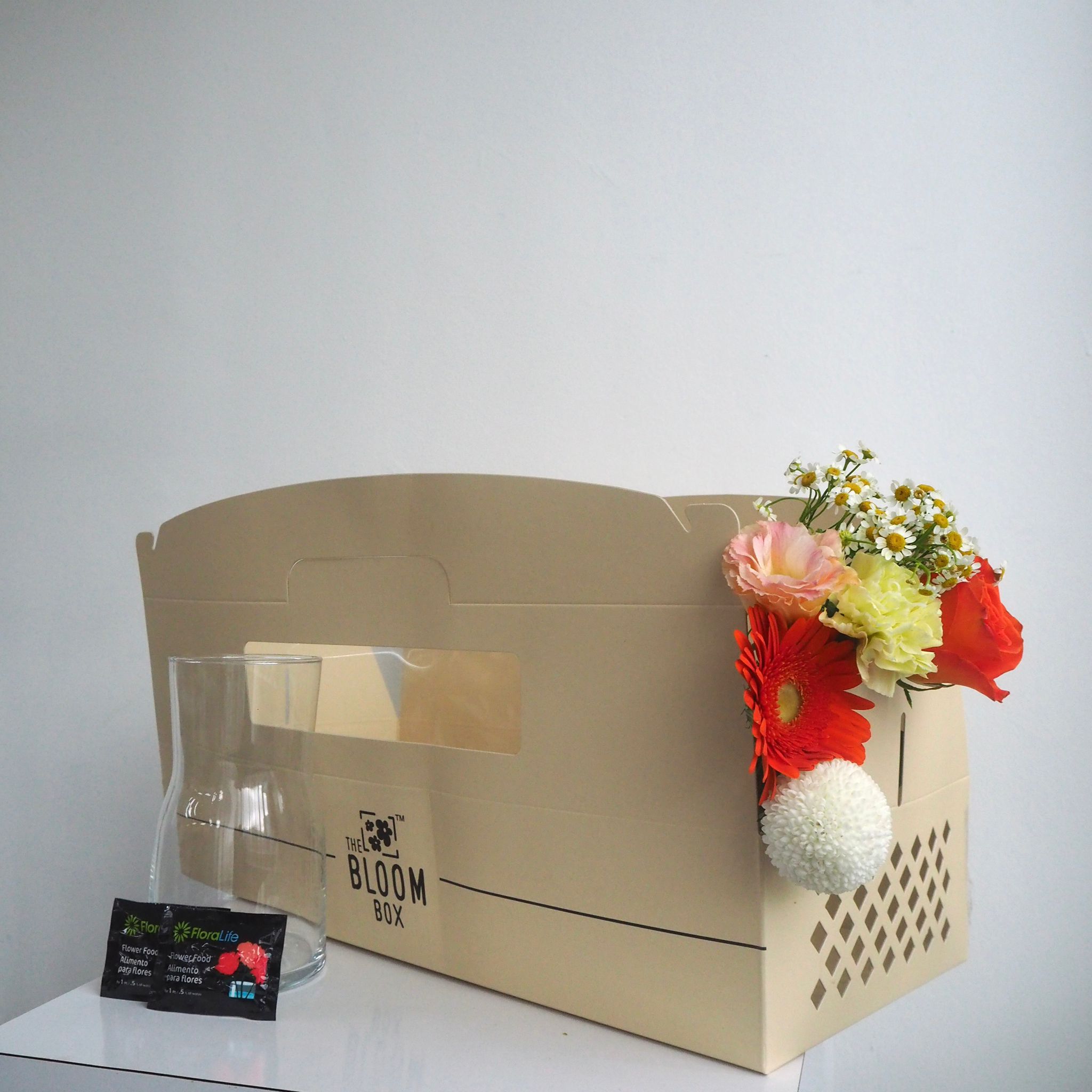 The Bloom Box of the Day