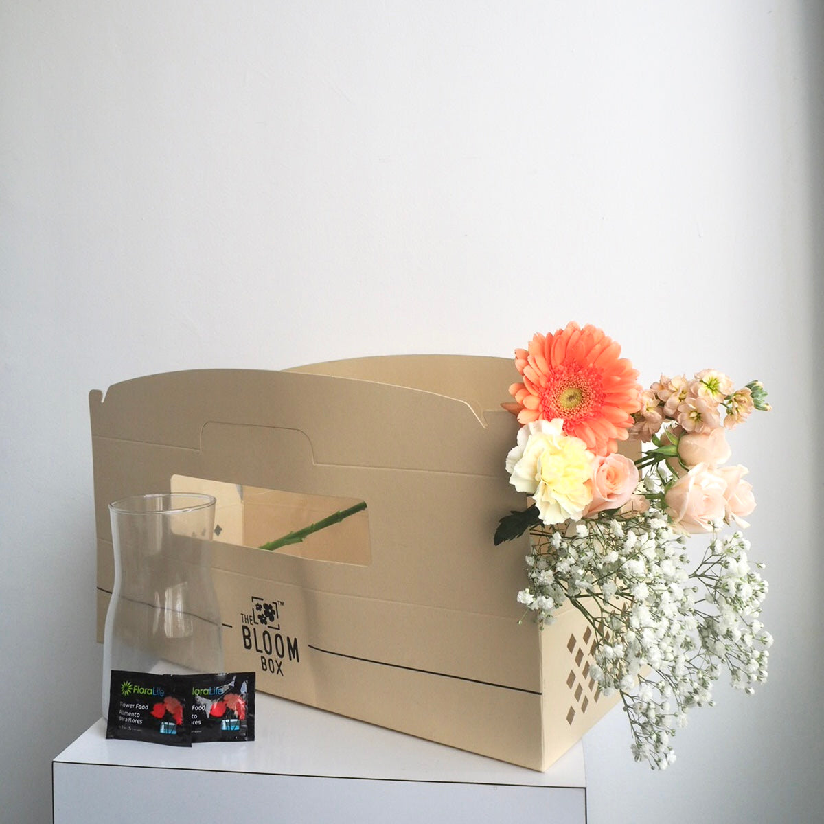 The Bloom Box of the Day