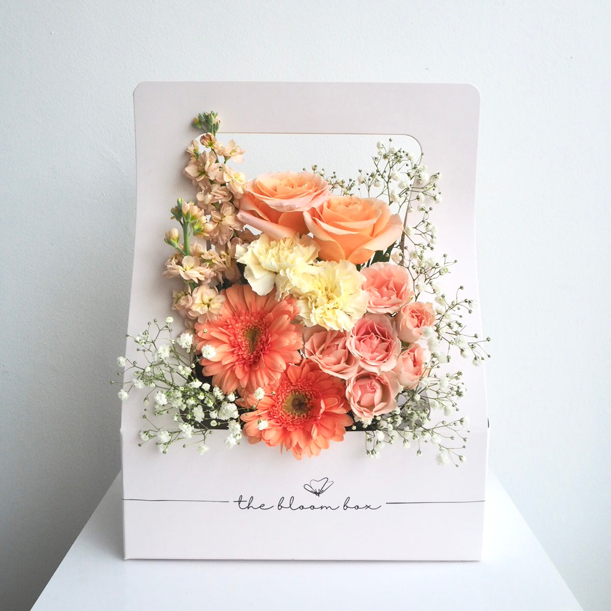 The Bloom Box of the Day