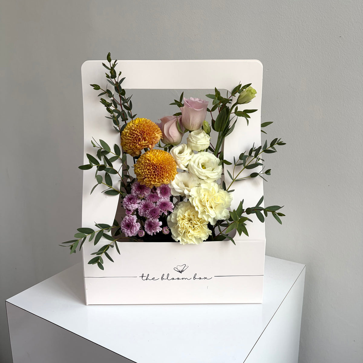 The Bloom Box of the Day
