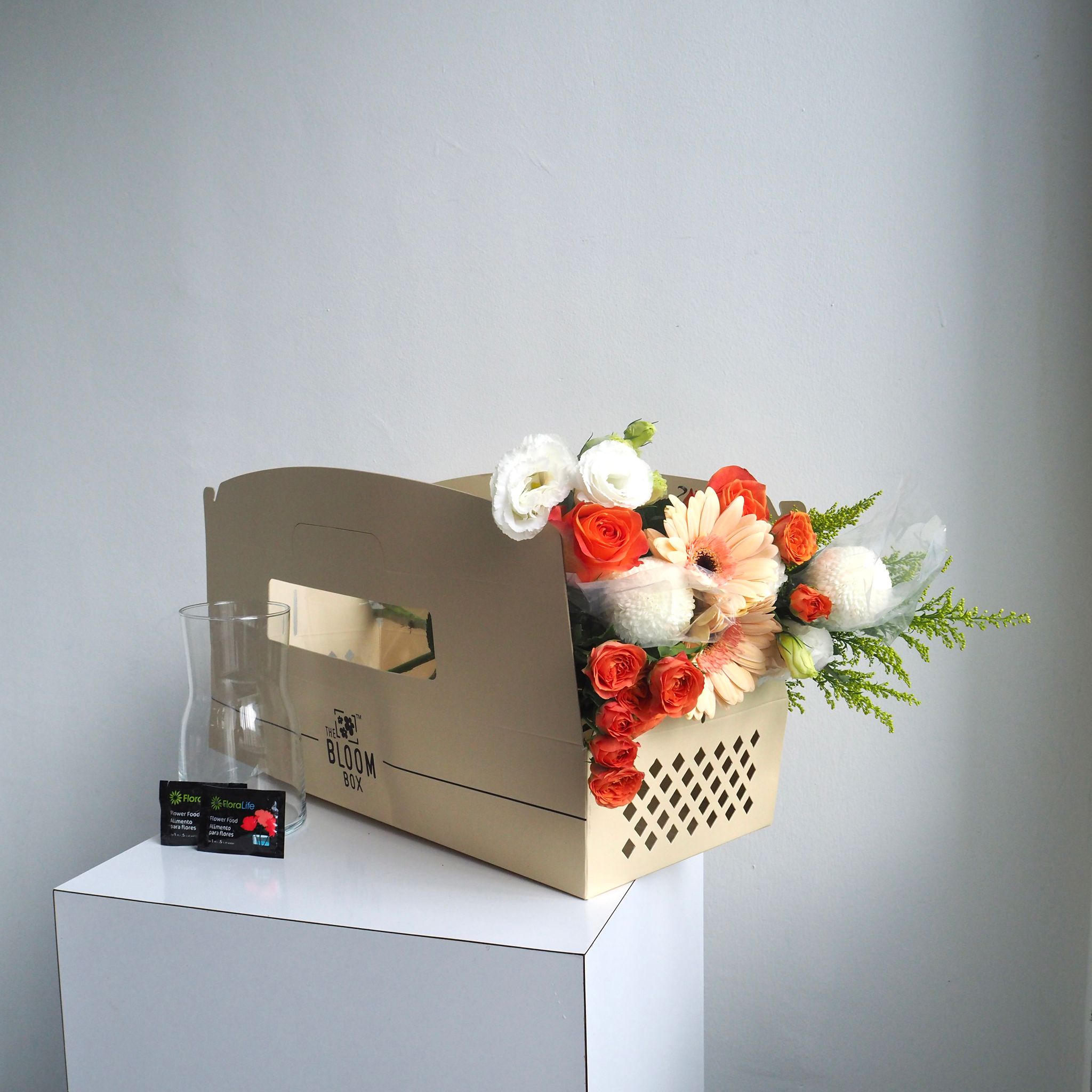 The Bloom Box of the Day