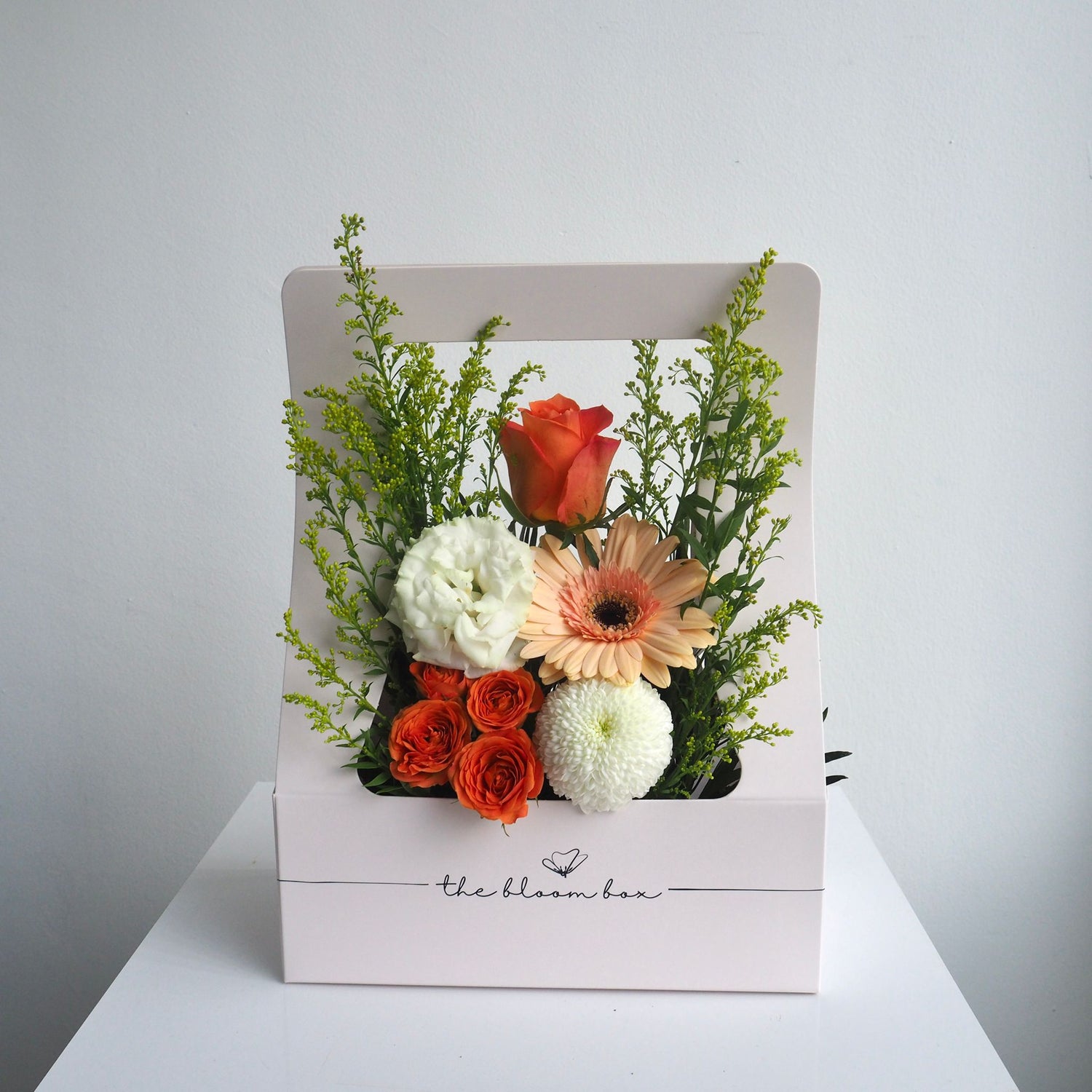 The Bloom Box of the Day