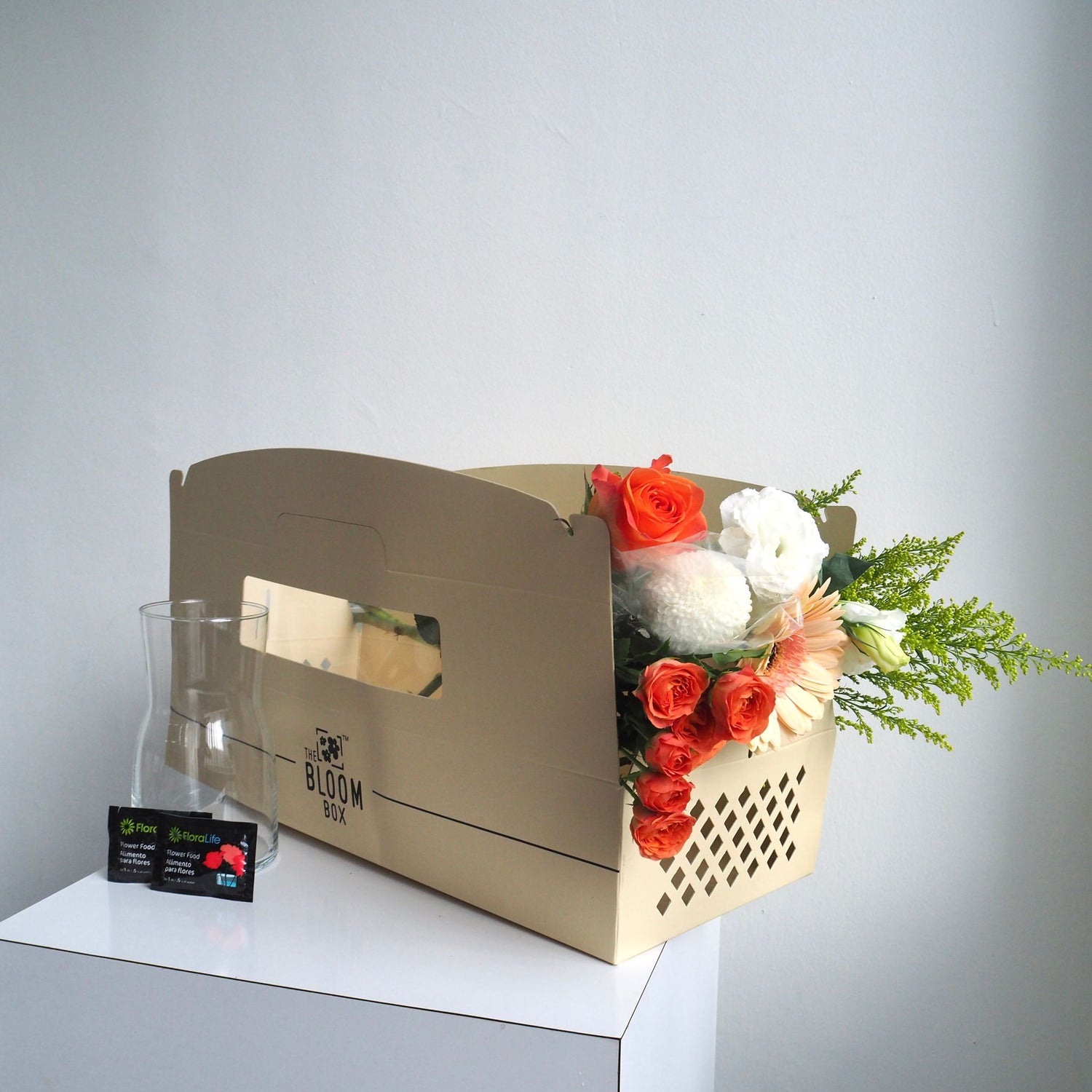The Bloom Box of the Day
